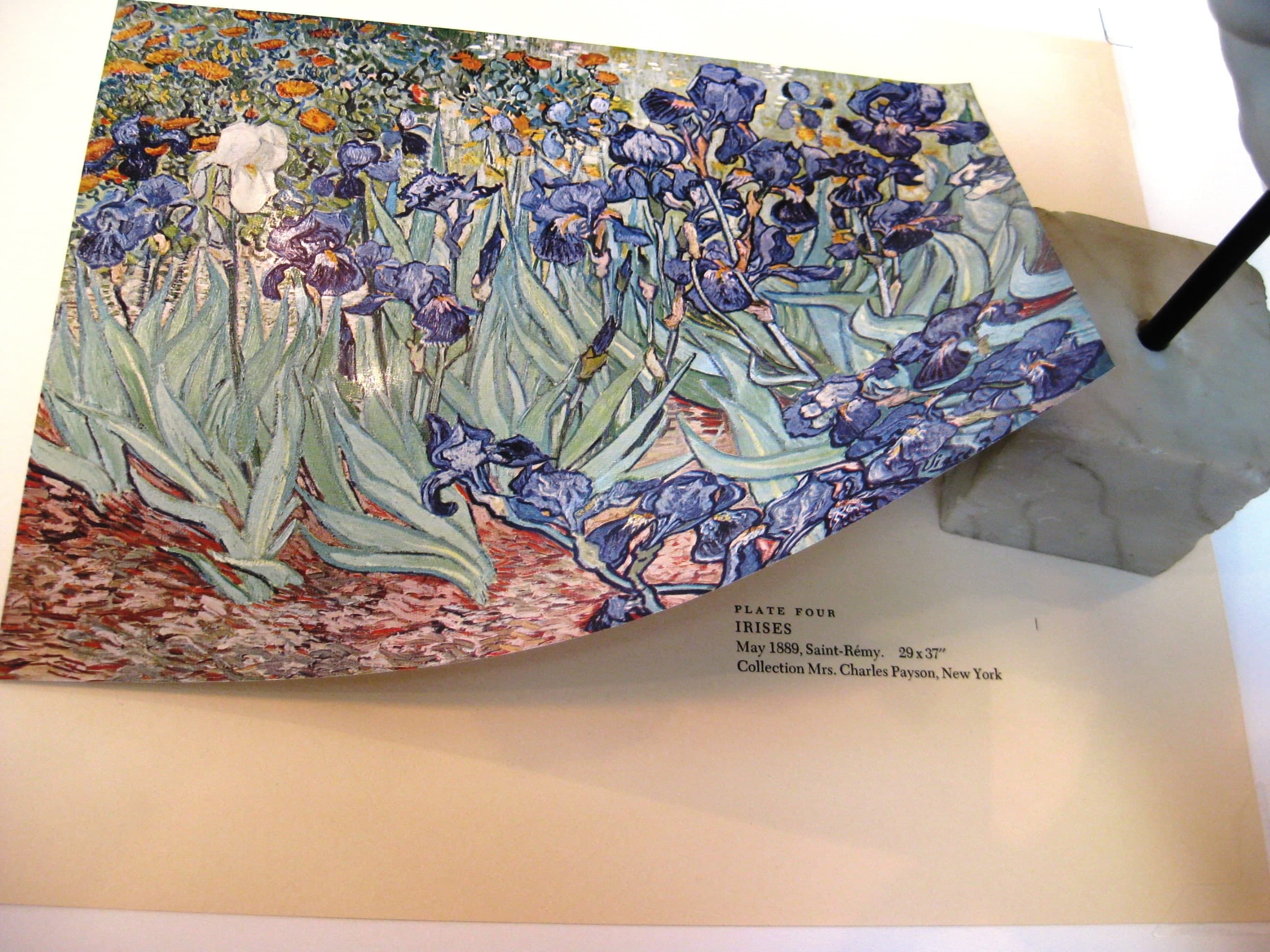 Vintage Van Gogh Irises Art Print, Double Matted 14x18 - image 4