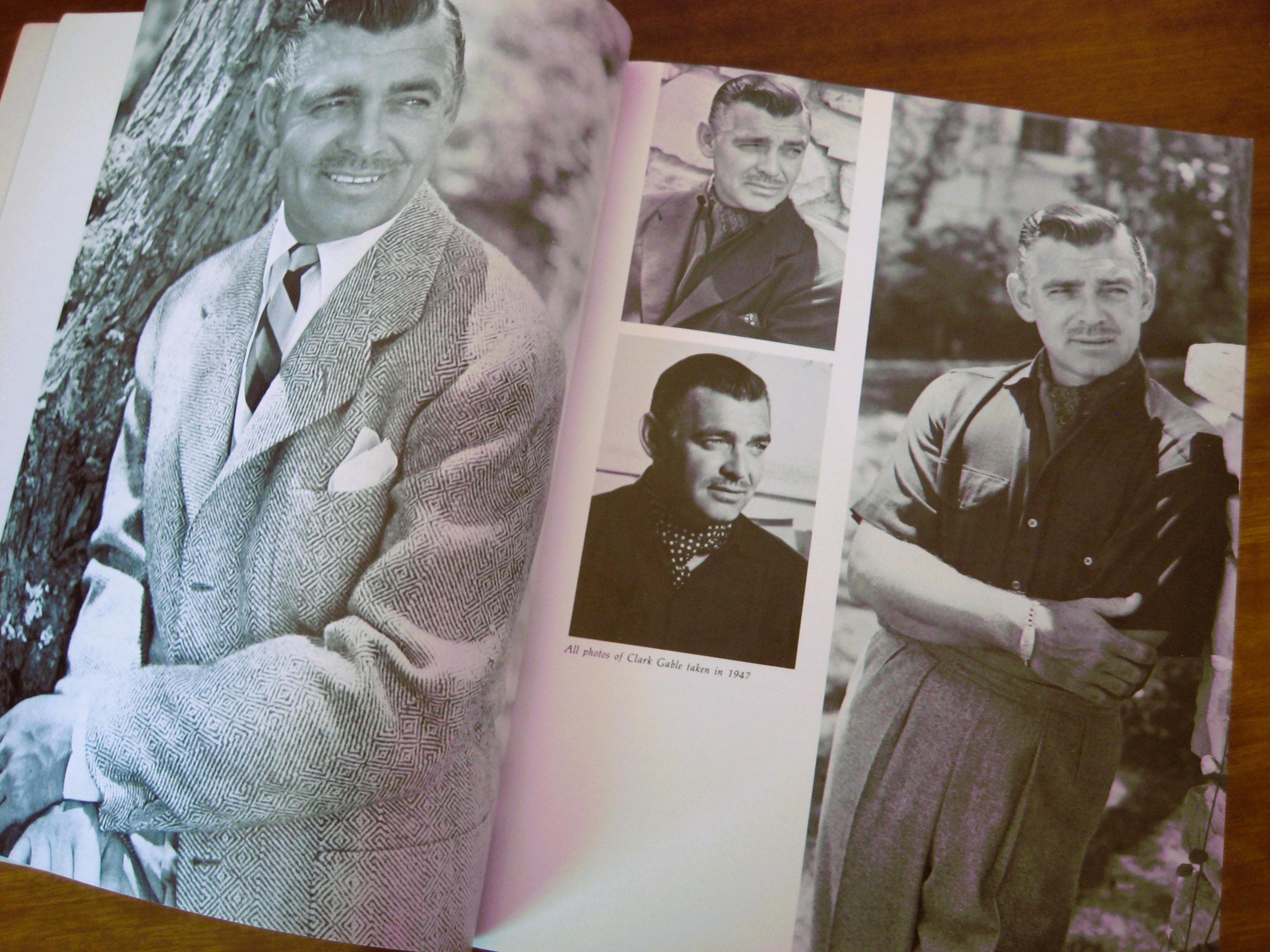 Vintage Hollywood Photography Book, Star Shots, John Engstead, 1978 - image 5