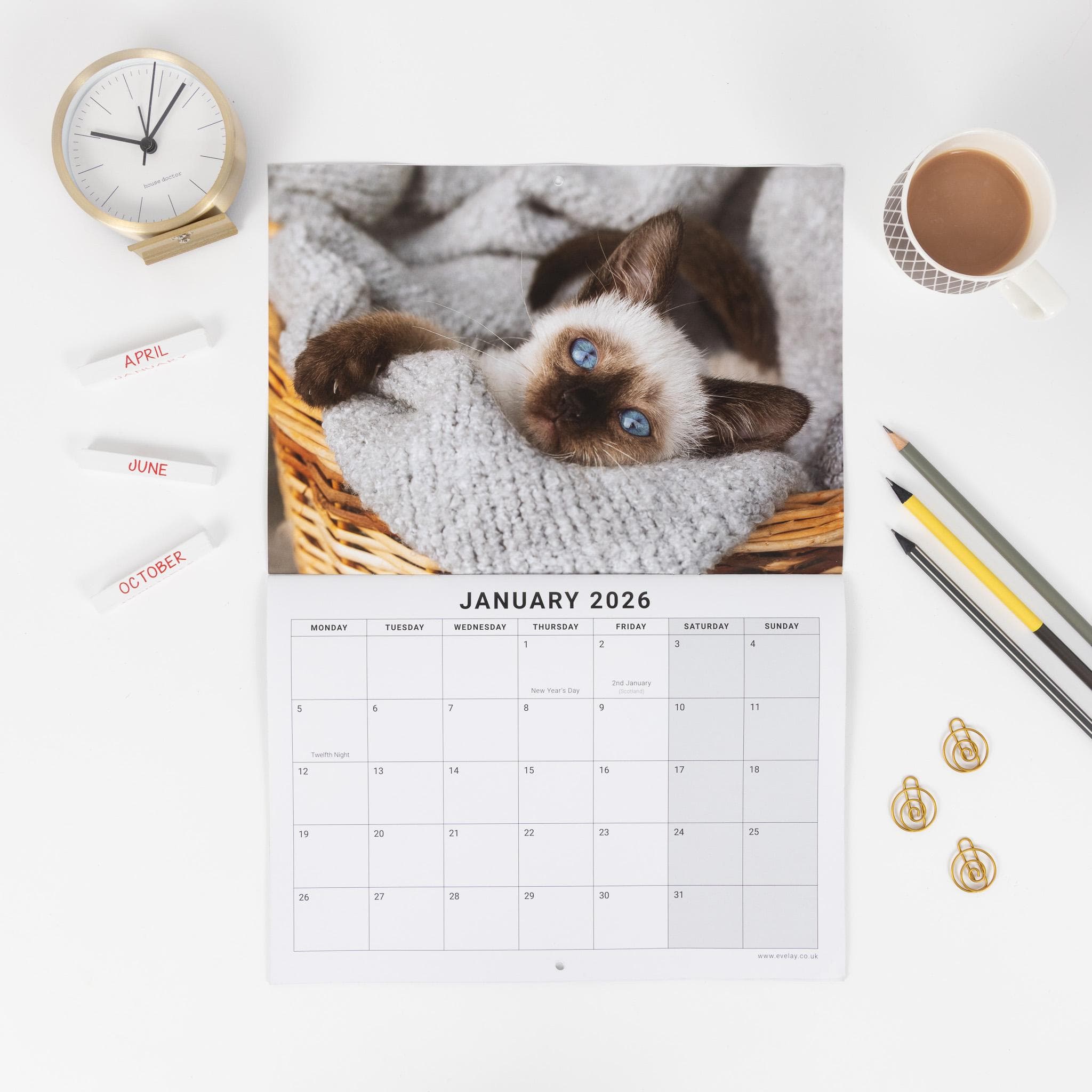 2026 Kittens Wall Calendar: Monthly Planner with Note Space - image 5