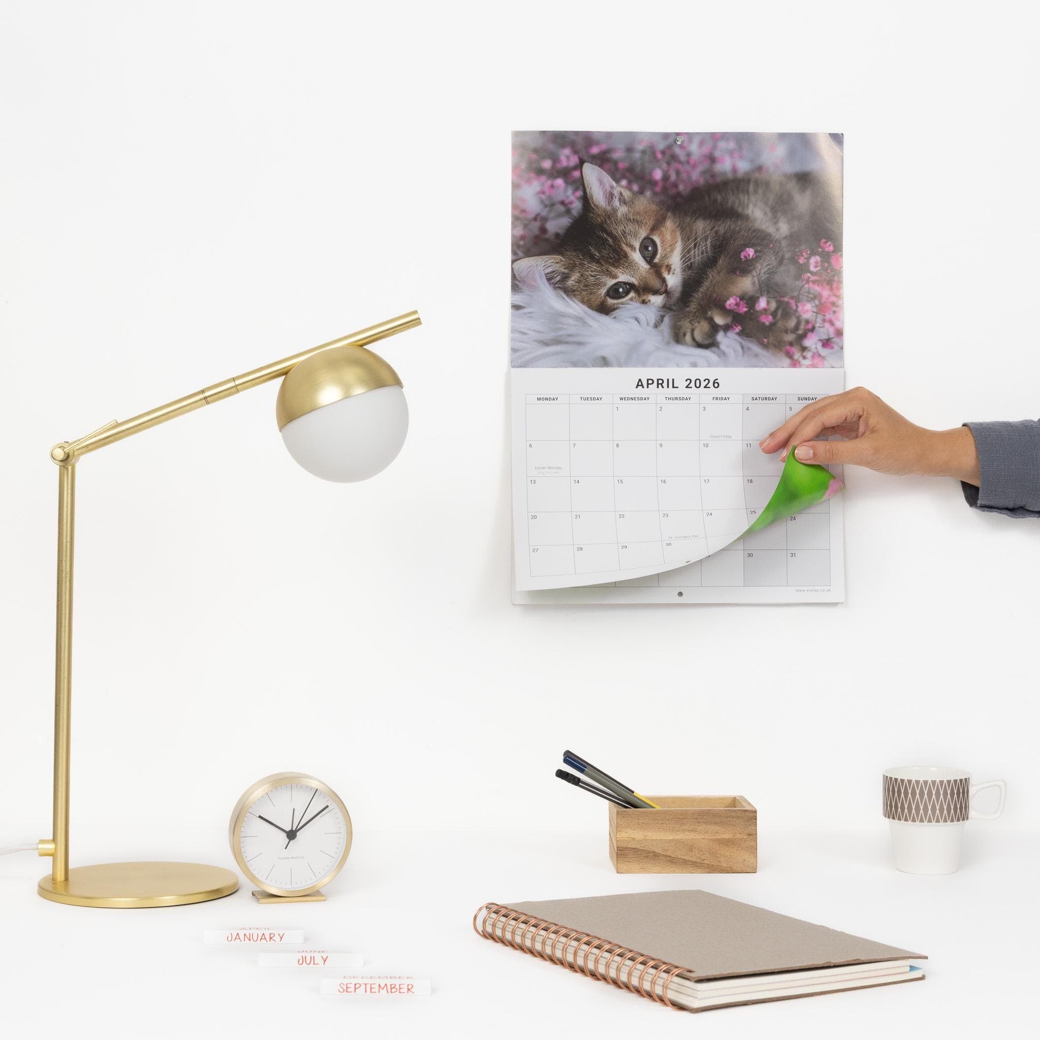 2026 Kittens Wall Calendar: Monthly Planner with Note Space - image 4