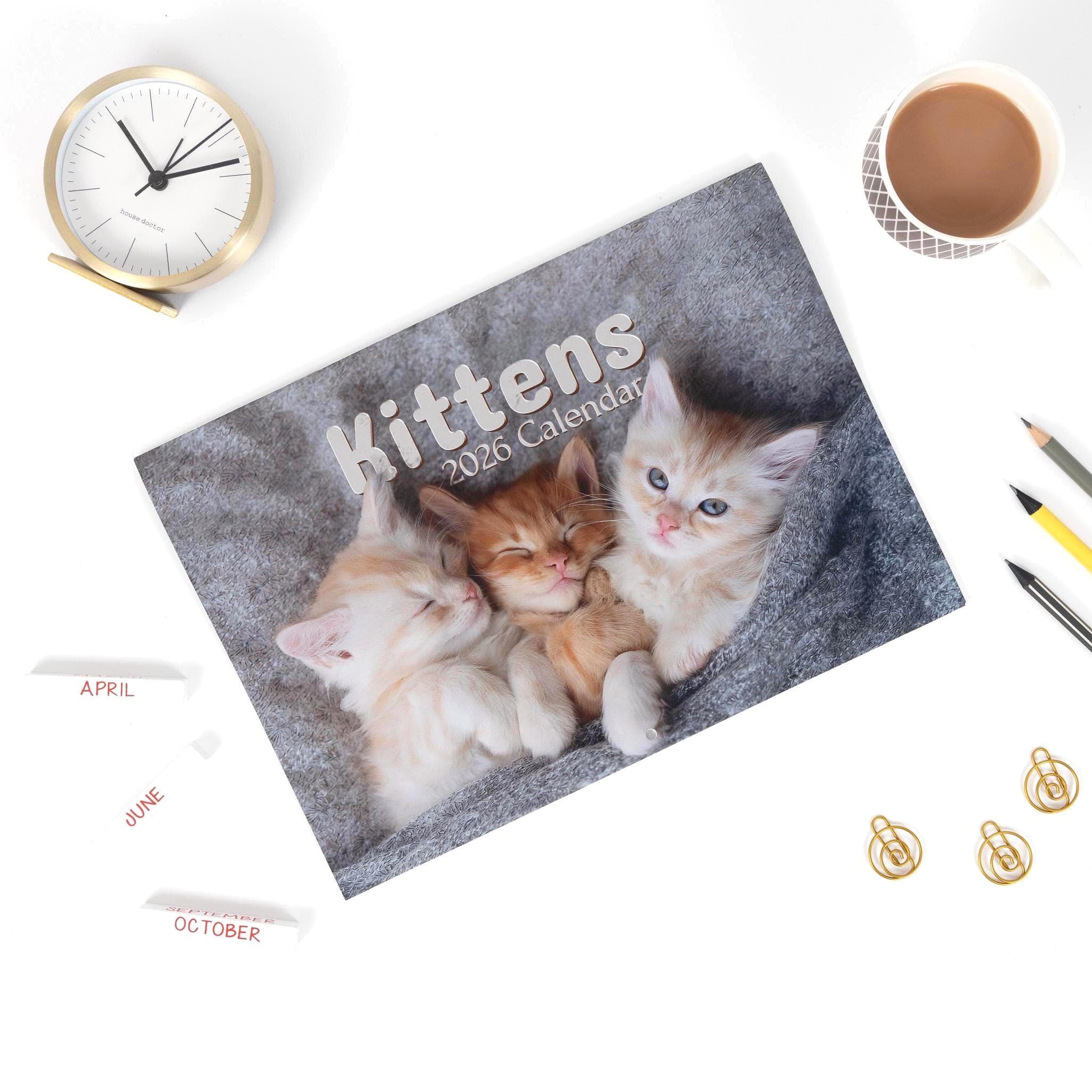 2026 Kittens Wall Calendar: Monthly Planner with Note Space
