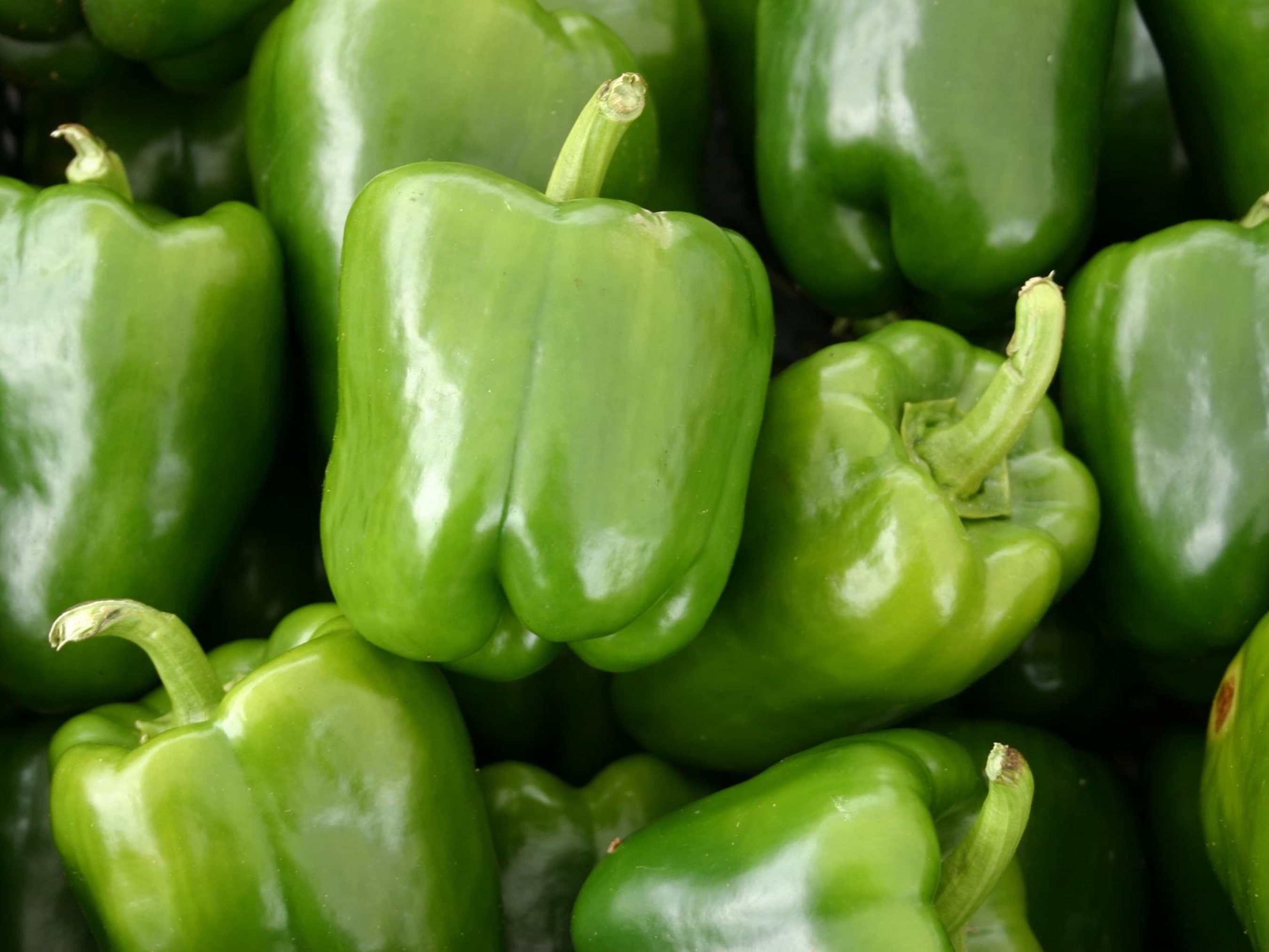 Sweet California Green Bell Pepper Seeds: Organic Heirloom, USA Grown