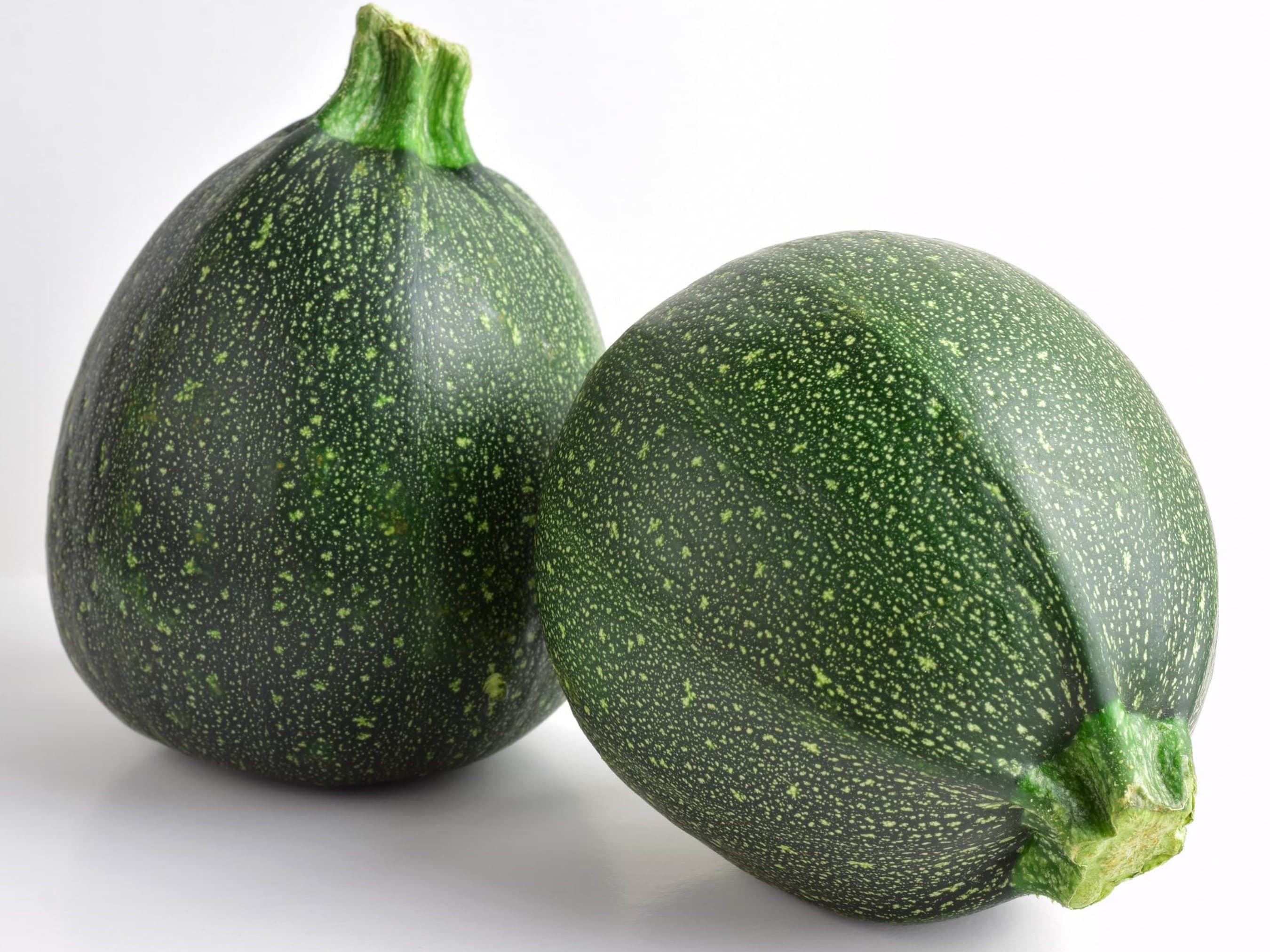 Round Zucchini Seeds - Organic & Non Gmo Seeds - Heirloom Vegetable Seeds - Fresh USA Grown Seeds