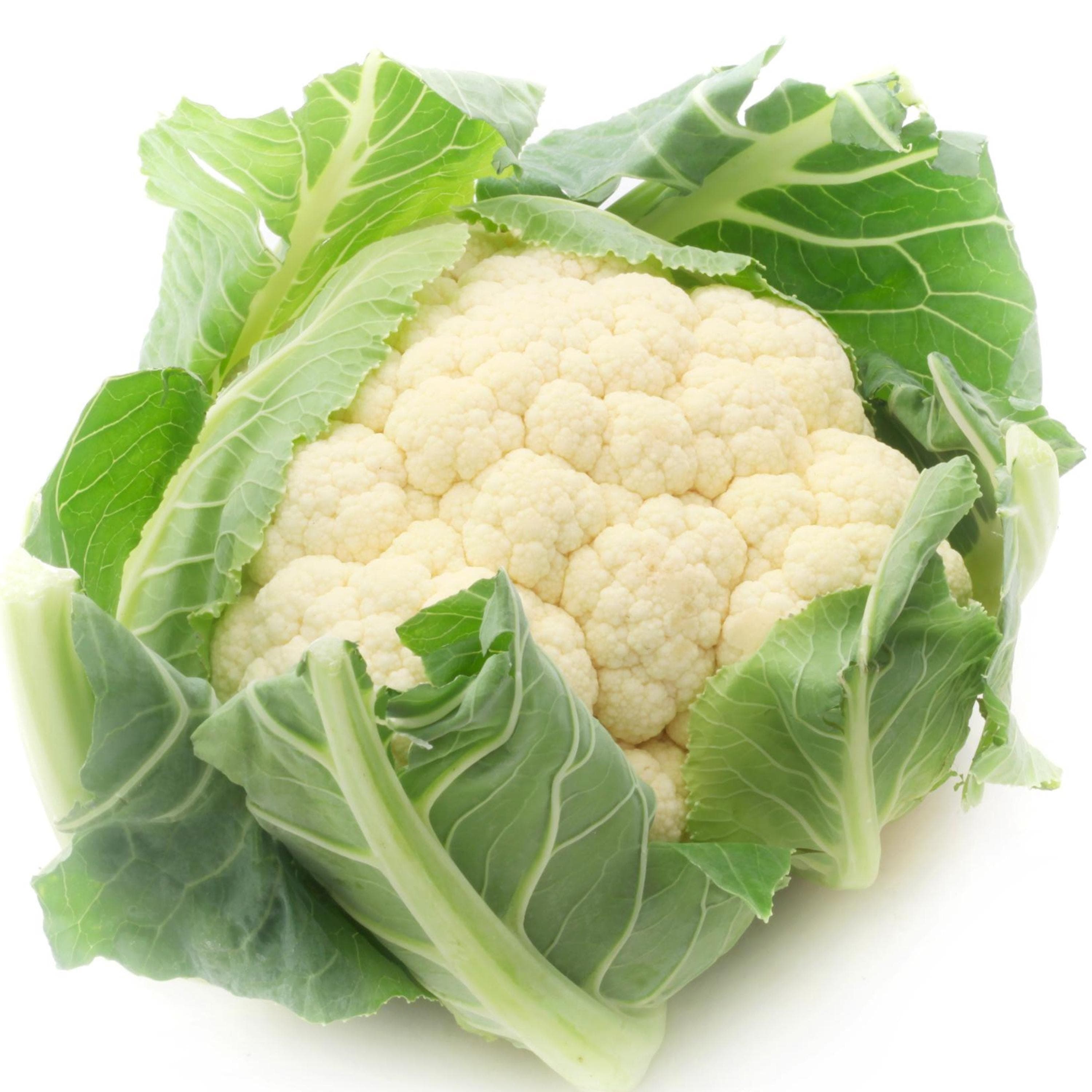 Cauliflower Seeds - Organic & Non Gmo - Heirloom Seeds - Fresh USA Grown Seeds - Grow Your Own Cauliflower At Home!