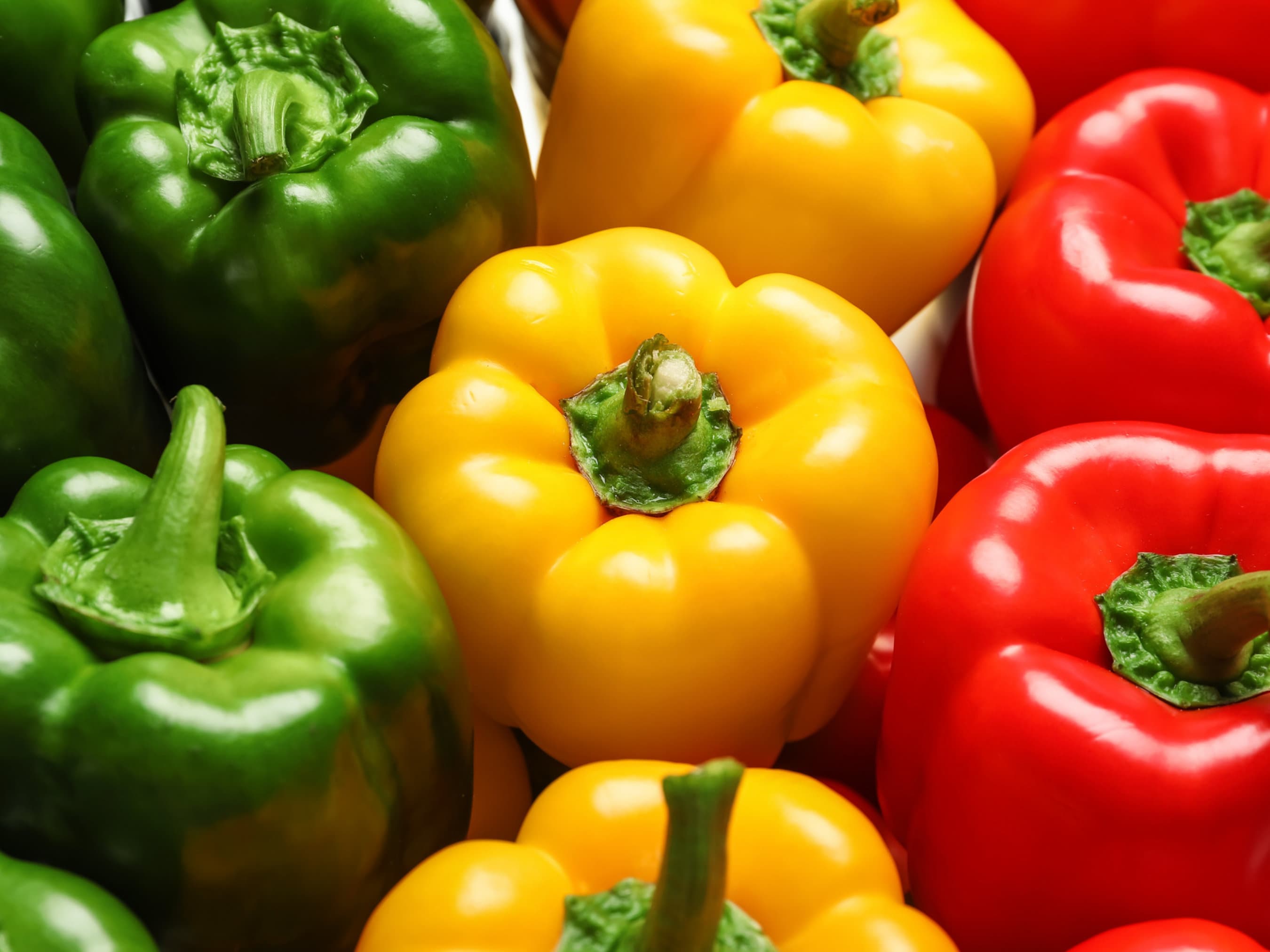 Assorted Bell Pepper Seeds - Organic & Non Gmo Pepper Seeds - Heirloom Seeds - Fresh USA Grown Seeds - Grow Your Own Peppers At Home!