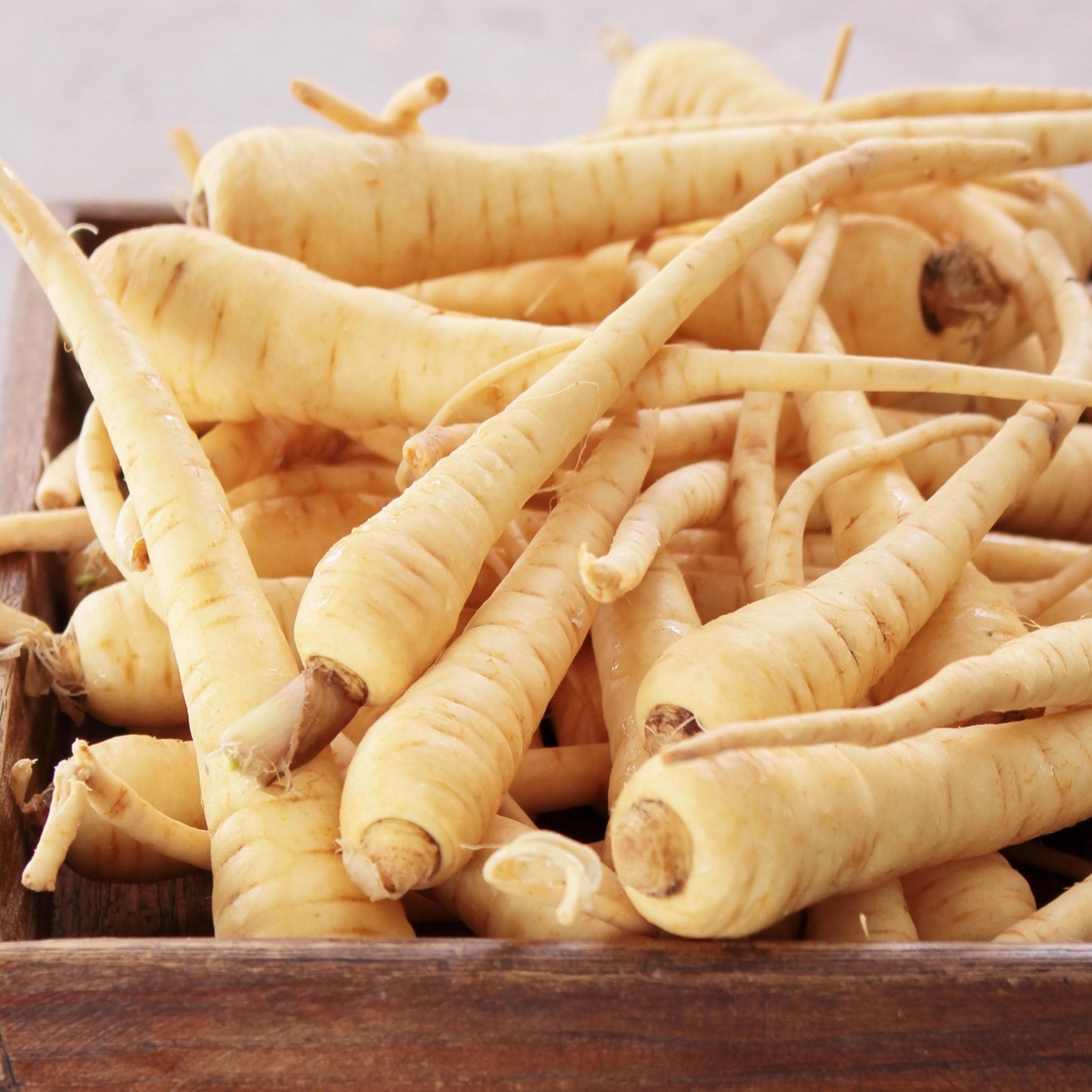 Parsnips Seeds - Organic & Non Gmo Parsnip Seeds - Heirloom Seeds - Fresh USA Grown Seeds - Grow Your Own Fresh Parsnips At Home!
