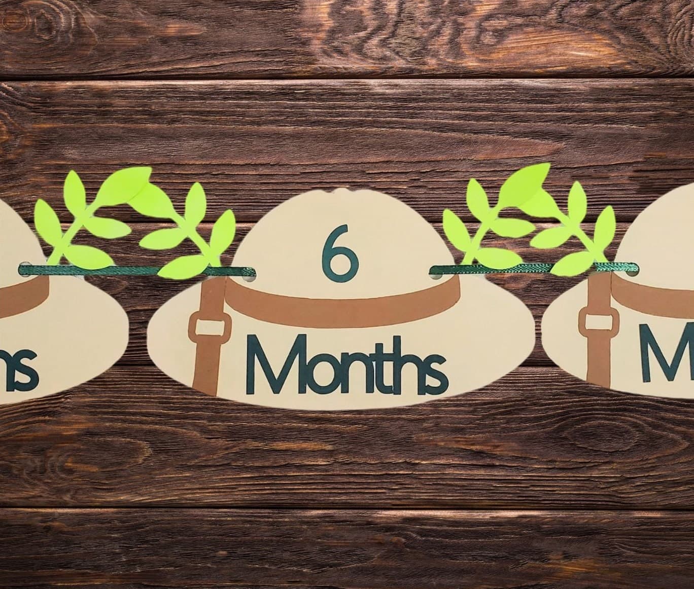 Jungle Safari 12 Months Photo Banner, Baby's First Year Safari Picture Banner, Wild One Photo Banner, Monthly Photo Garland for a Boy Girl - image 5