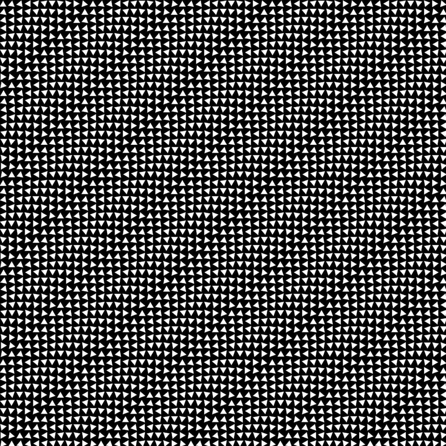 Triangle Cotton Fabric by the Yard - Prism Triangle Play Black - Windham 51991A-2