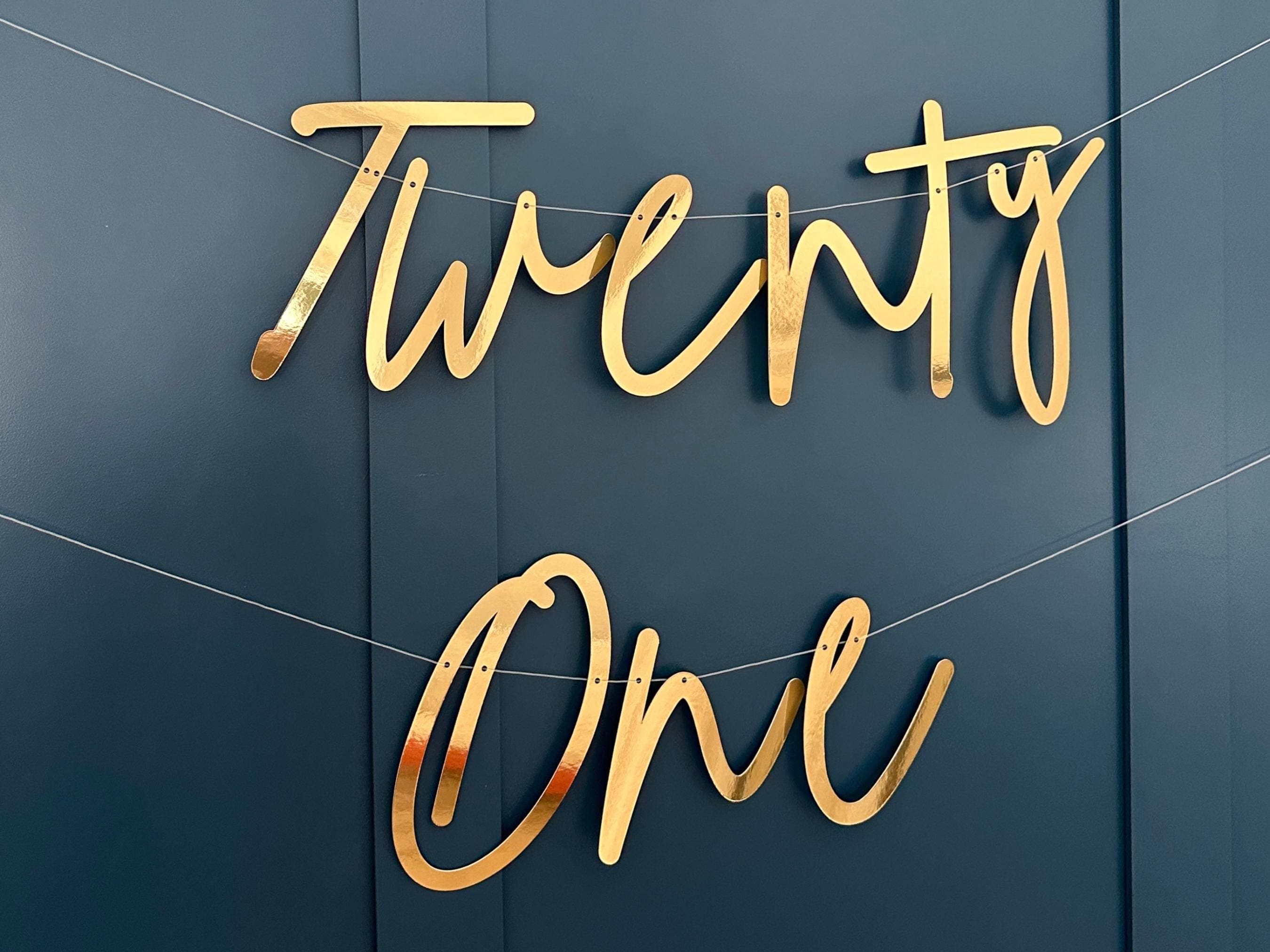 21st Birthday Banner, Turning 21 Banner, 21st Birthday Bunting, 21st Sign, Backdrop Birthday Sign, Black Sign (any age/colour) - image 3