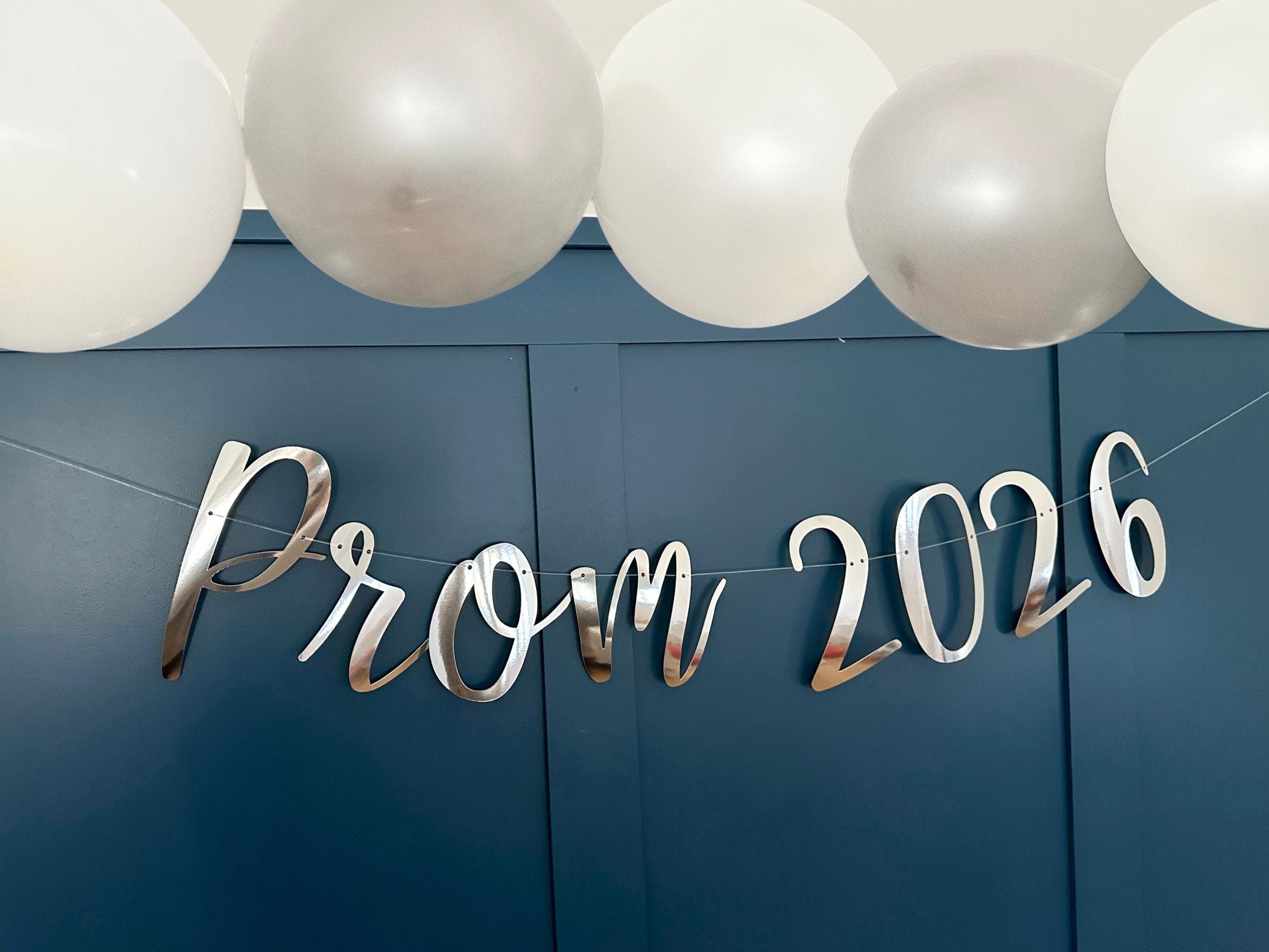 Prom 2026 Banner, Prom Party Decor, Prom Backdrop, Prom Sign, Class of 2026 Backdrop, Prom Night Sign Bunting