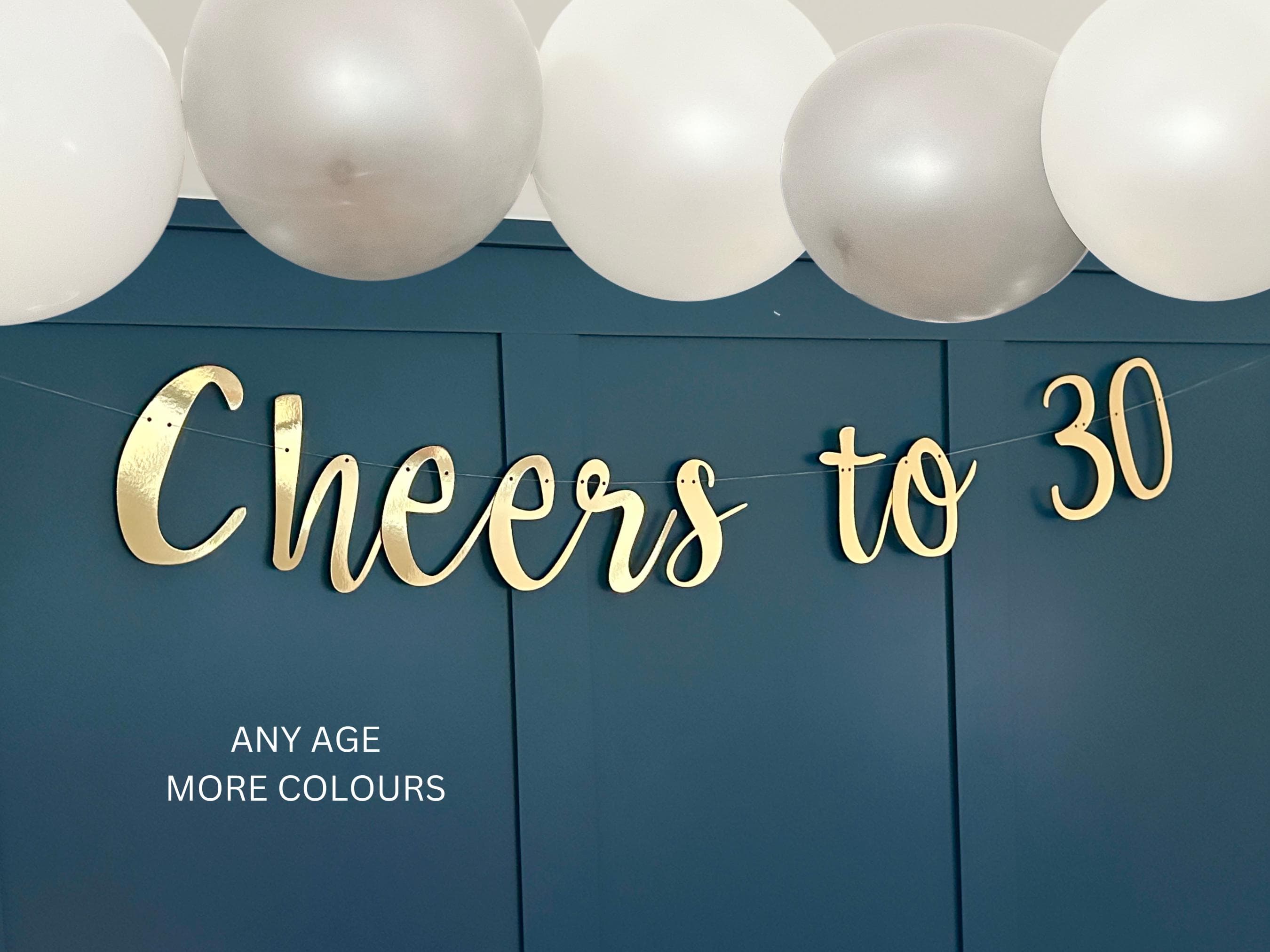 Any Age Custom Banner, Anniversary Banner Sign, 30th Birthday Sign, Birthday Backdrop, Sign, Personalised Banner, Birthday Decor, Turning 30