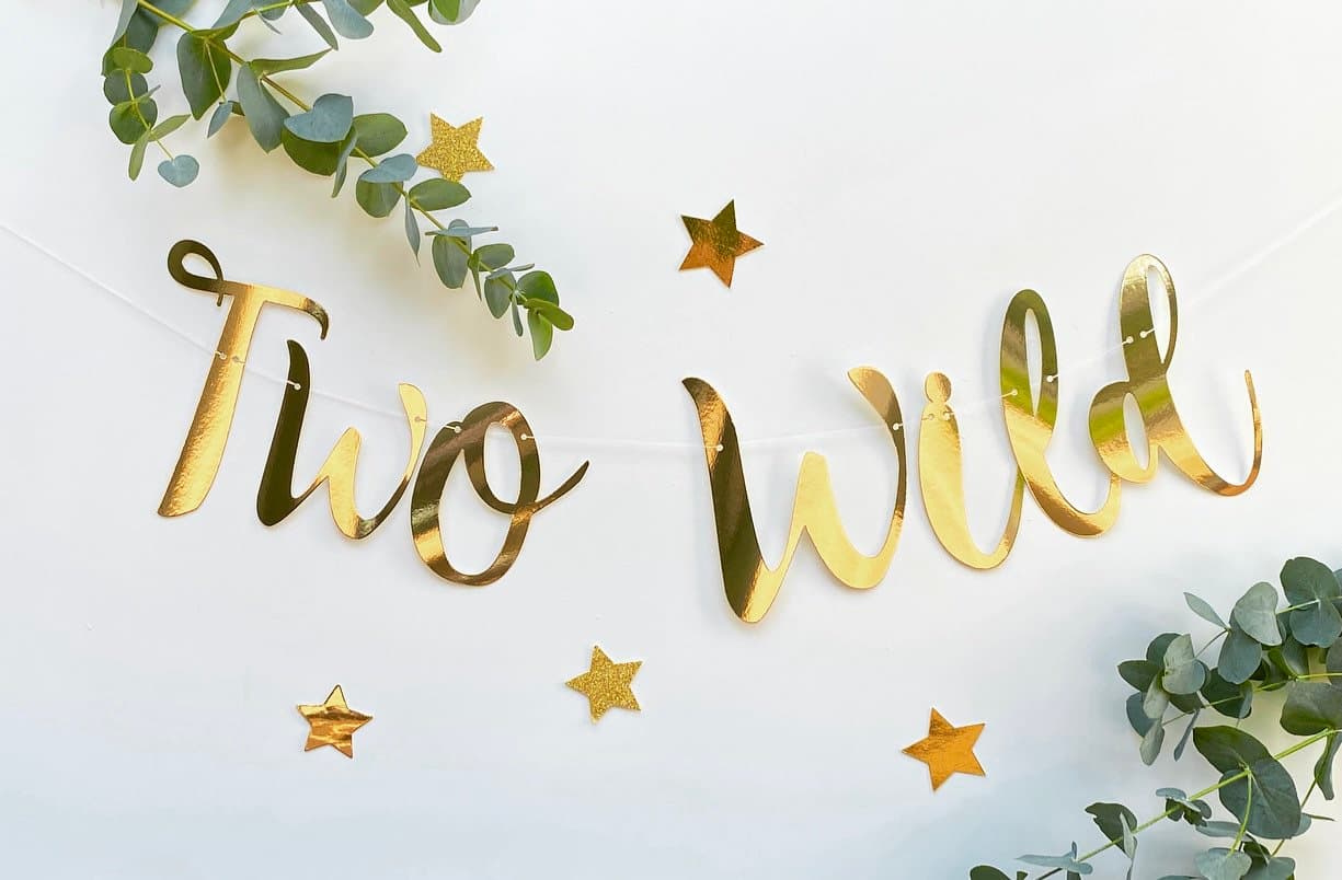 Two Wild Rose Gold Banner, Personalised (any colour), 2nd Birthday Banner, Second Birthday Bunting, Turning Two Garland, Rose Gold - image 3