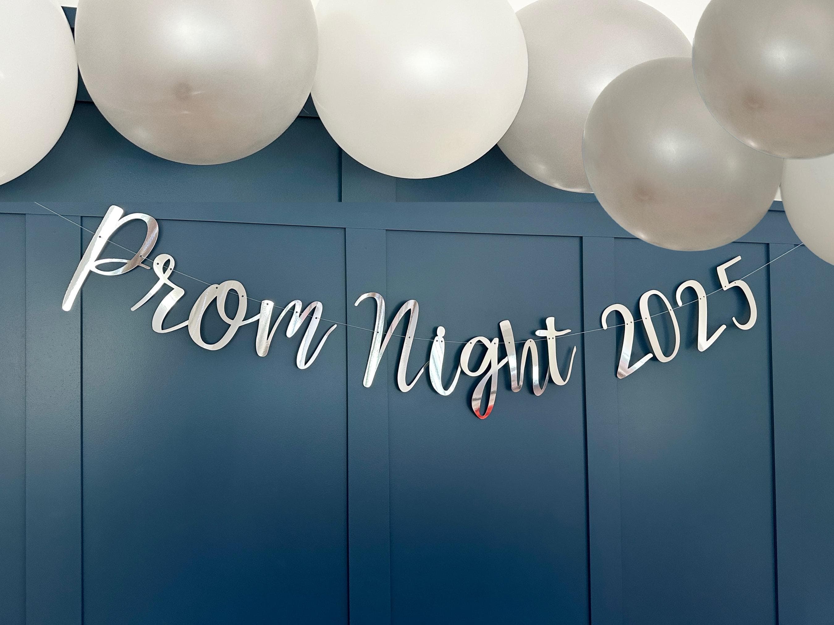 Prom 2026 Banner, Prom Party Decor, Prom Backdrop, Prom Sign, Class of 2026 Backdrop, Prom Night Sign Bunting