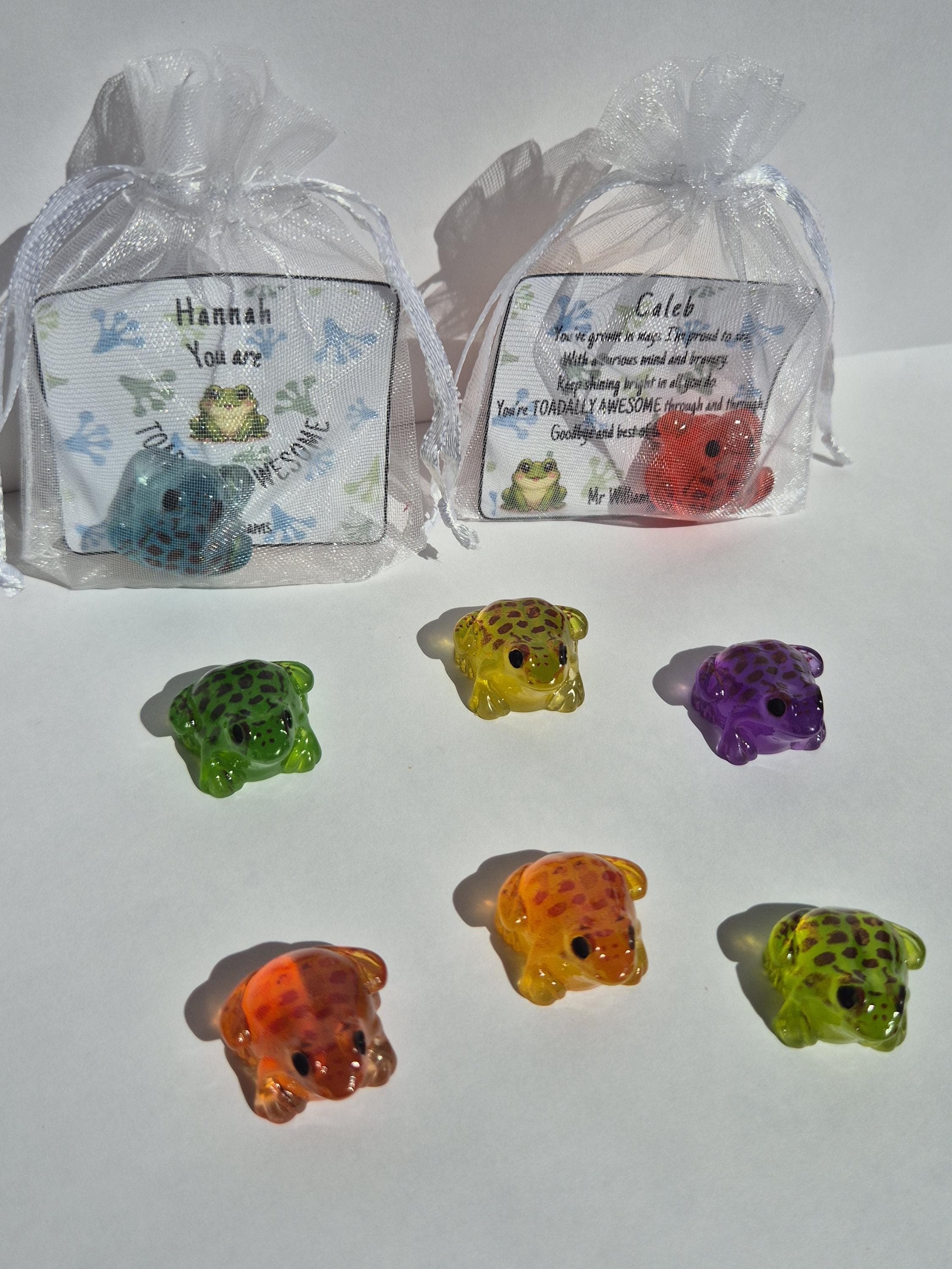 Mini Toad Keepsake | School Leaver Gifts | End of Year Gifts for Students | Toad-ally Awesome | Gifts for Students | Class of 2026 | - image 4