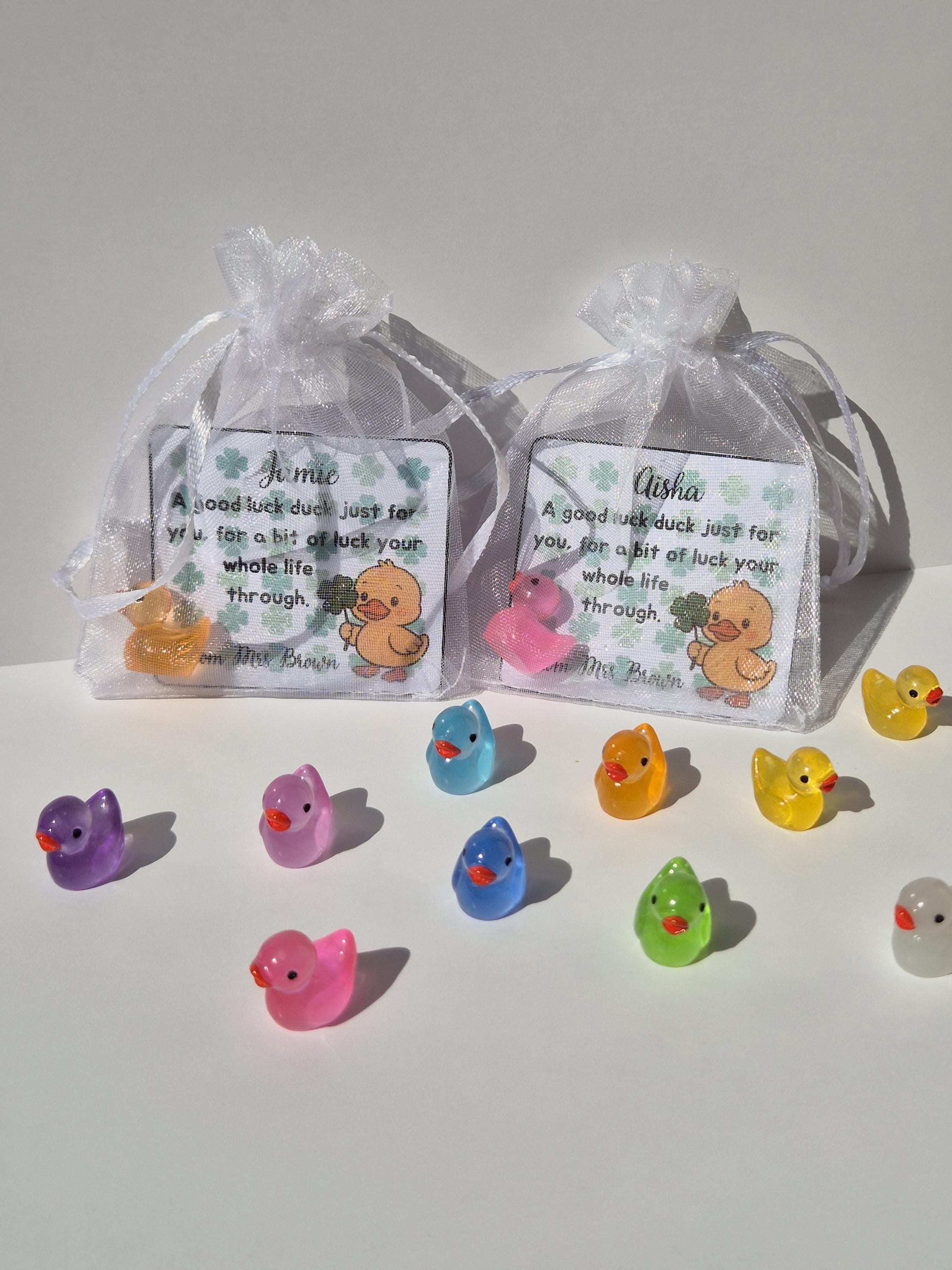 School Leaver Gifts | End of Year Gifts for Students | Good Luck Duck | Mini Duck Keepsake | Gifts for Students | Class of 2026 - image 5