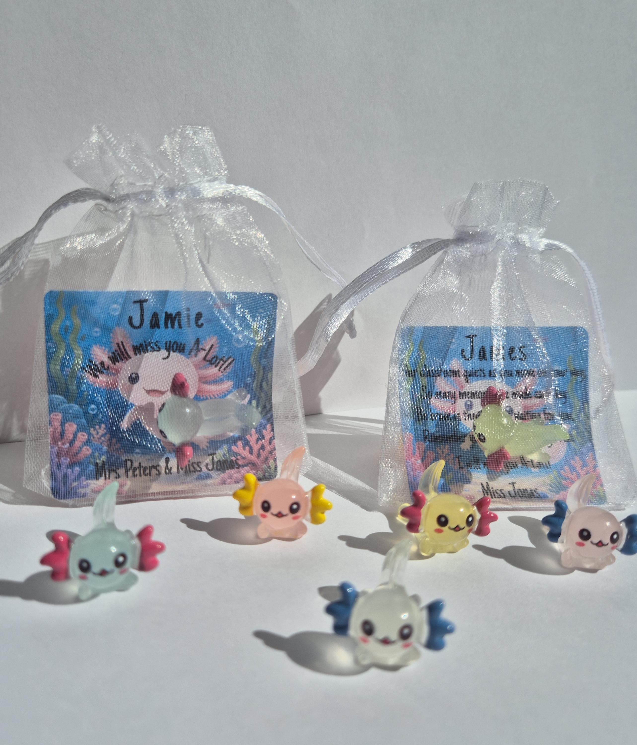 Mini Axolotl Keepsake | School Leaver Gifts | End of Year Gifts for Students | Miss you A-Lotl | Gifts for Students | Class of 2026 |