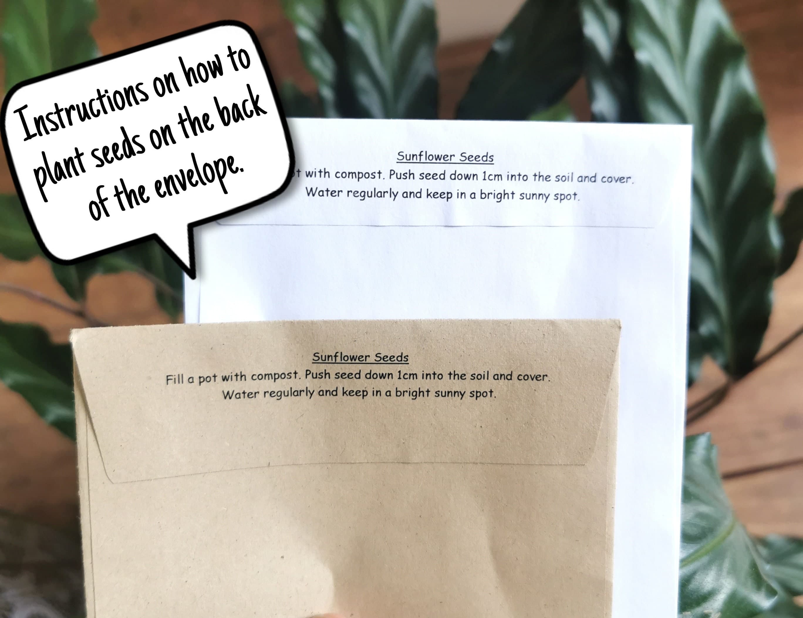 Personalized Sunflower Seed Packets: Birthday Party Favors - image 5