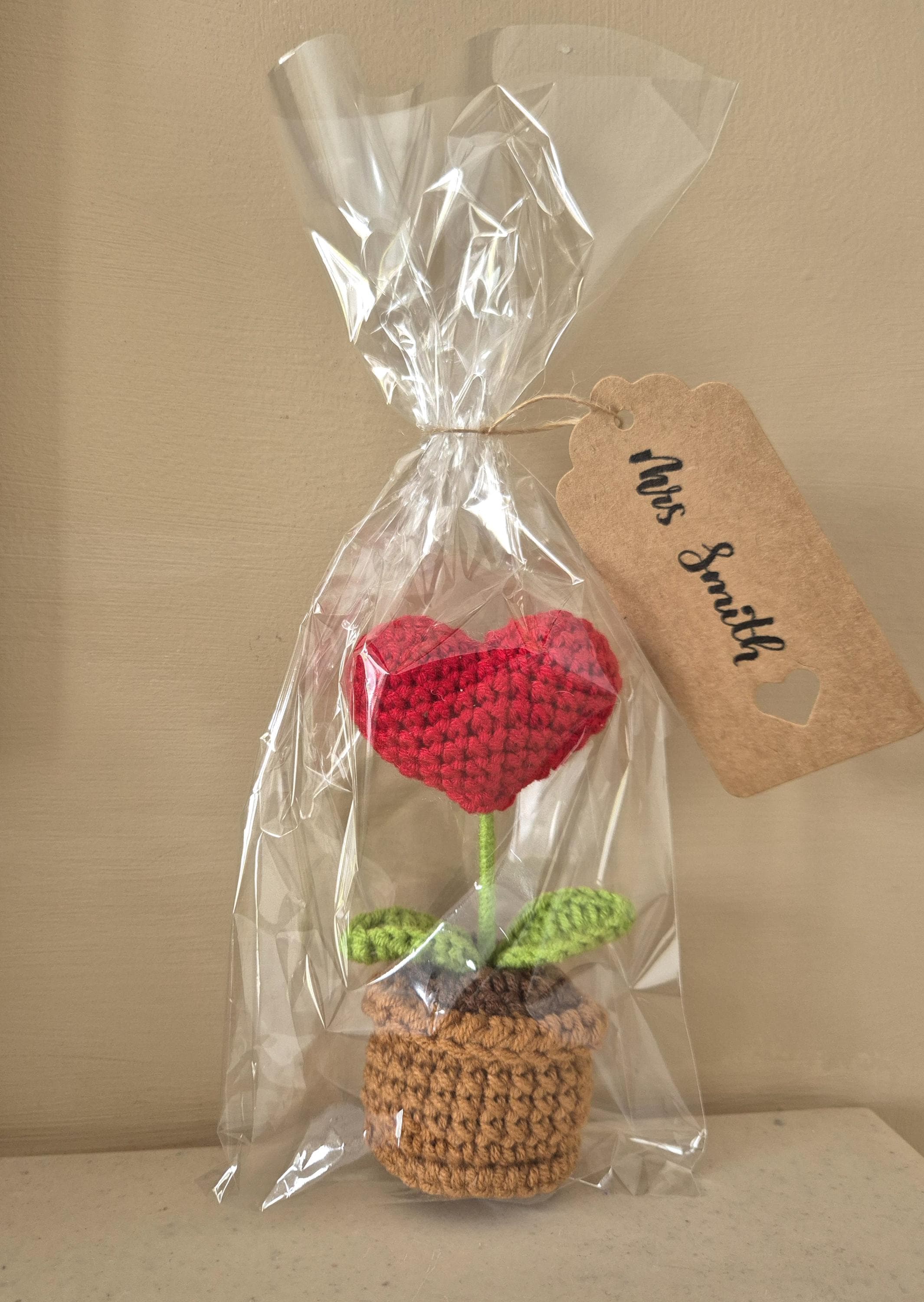 Handmade Crochet Flower Pot Teacher Gift | Wildflower Seeds - image 3