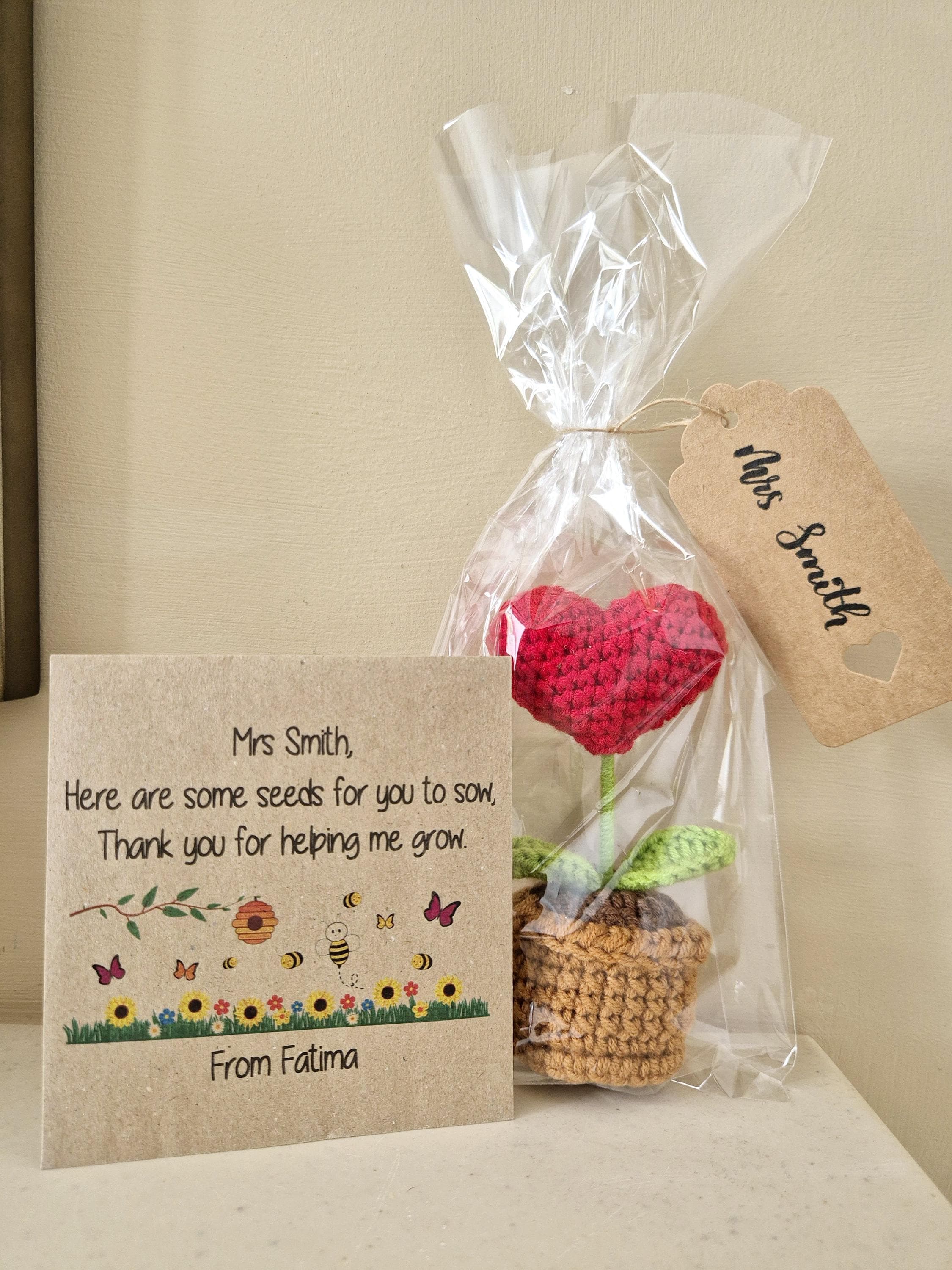 Handmade Crochet Flower Pot Teacher Gift | Wildflower Seeds