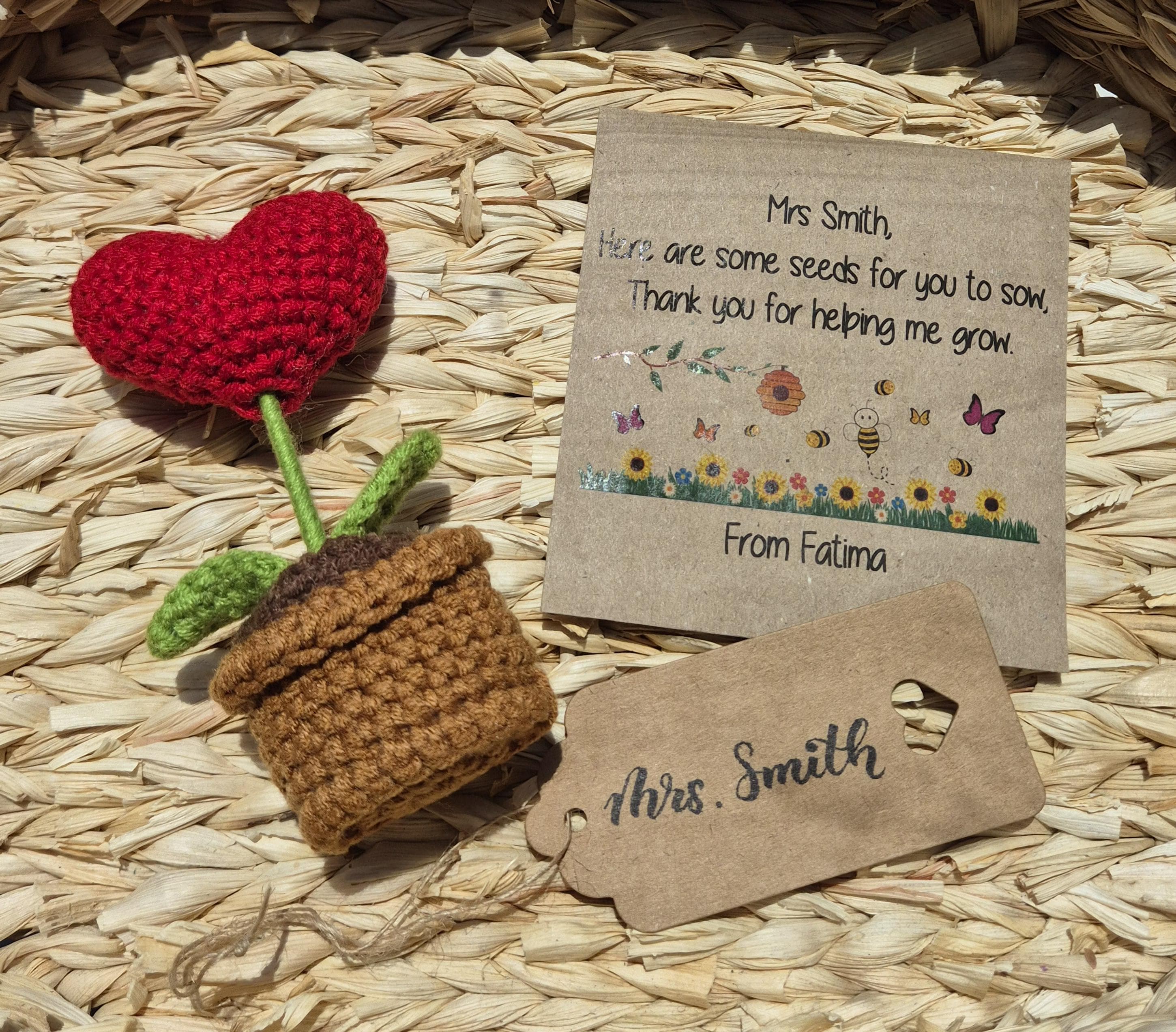 Handmade Crochet Flower Pot Teacher Gift | Wildflower Seeds - image 4