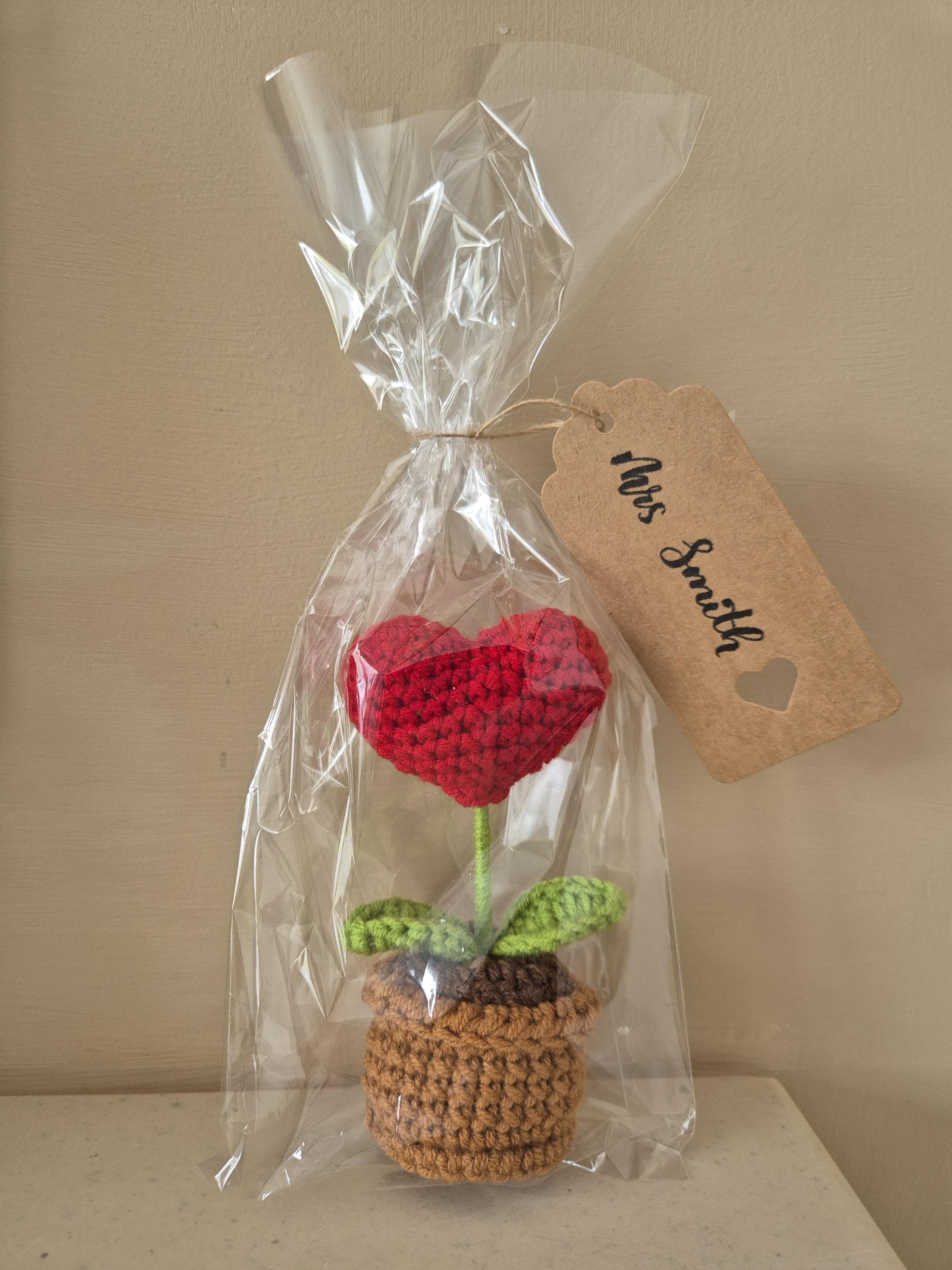 Teacher Gift | Handmade Crochet Flower with Wildflower seed Packet | End of term Teacher Gift - image 4