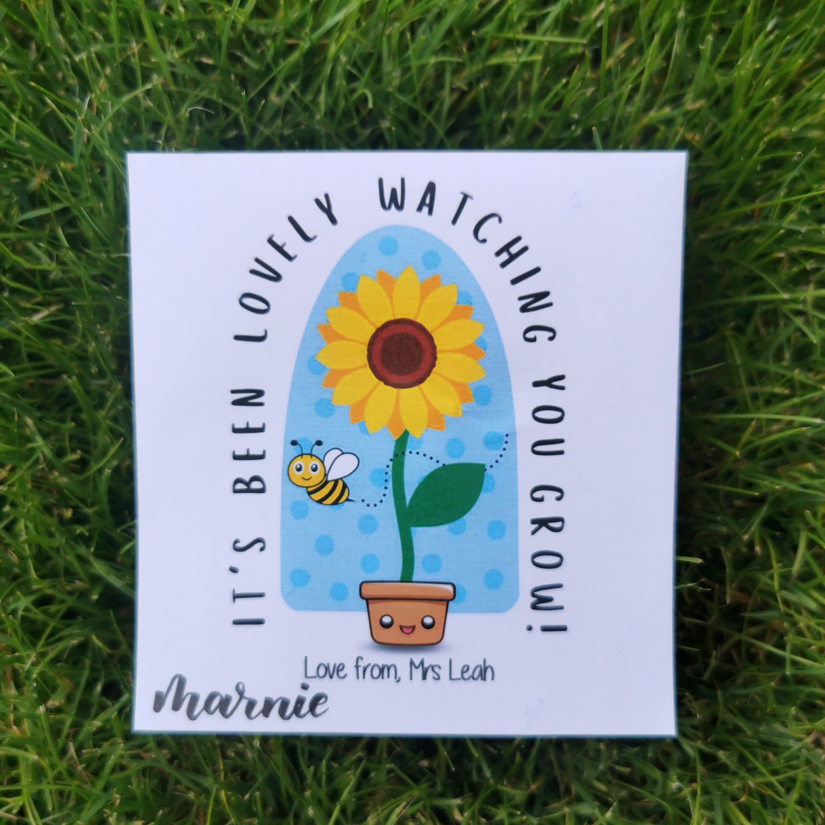 Personalized Sunflower Seed Packet: End of Year Student Gift