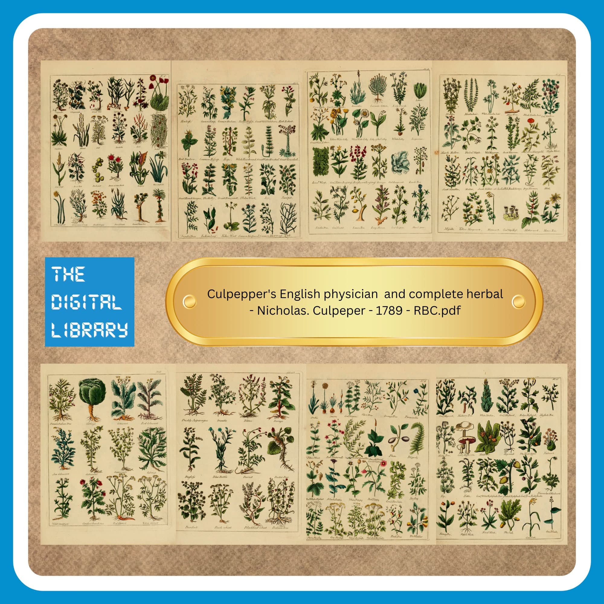 365 Rare Old Books on Herbs and Herbal Medicine Medicinal Plants Medical Botany Apothecary Remedies Tinctures Cures - Instant PDF Download - image 4