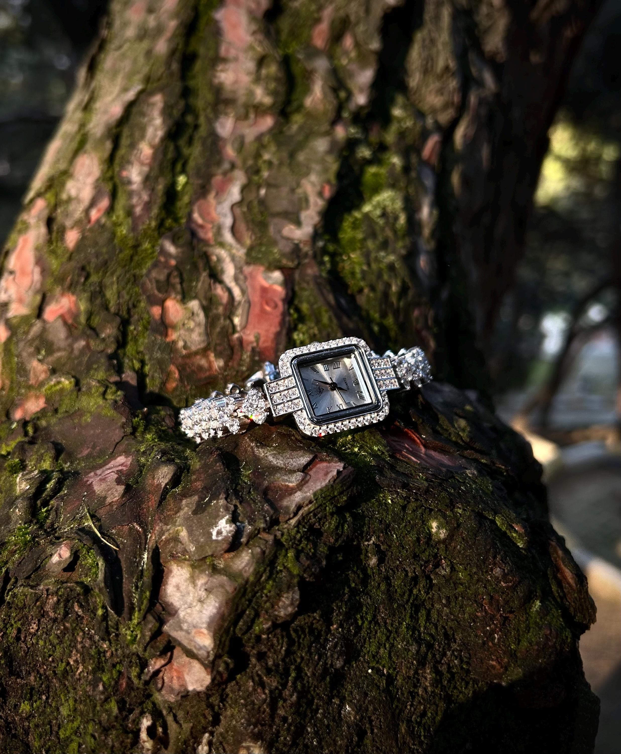 A luxury women's square watch in rhodium plated 925 silver, set with sparkling zircon stones and presented with a Phoenix necklace gift on a nature, elegant backdrop.