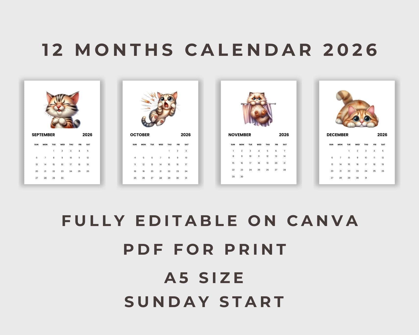 Funny Cat Calendar 2026 | A5 Printable PDF | Sunday Start | Digital Download | Canva Template - image 4