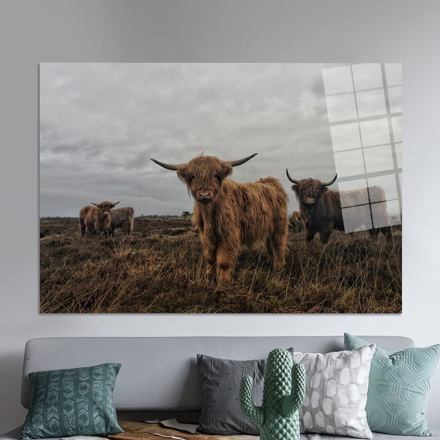 Highland Cow Canvas Wall Art: Wild Bull Glass Print - image 5