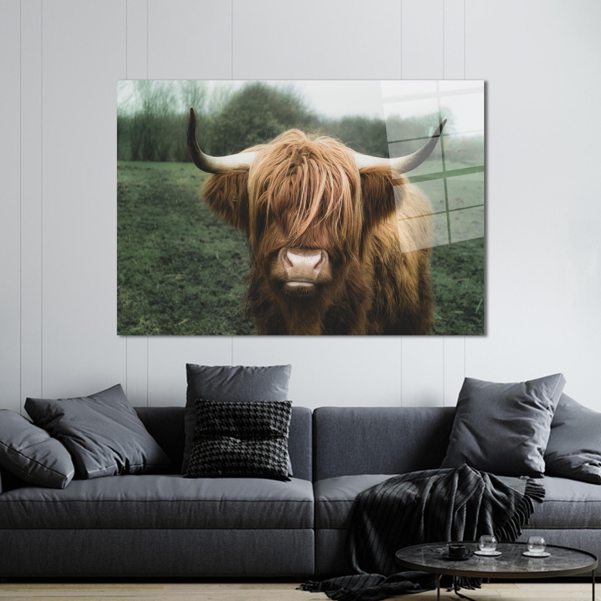 Highland Cow Glass Wall Art: Scottish Animal Decor Gift