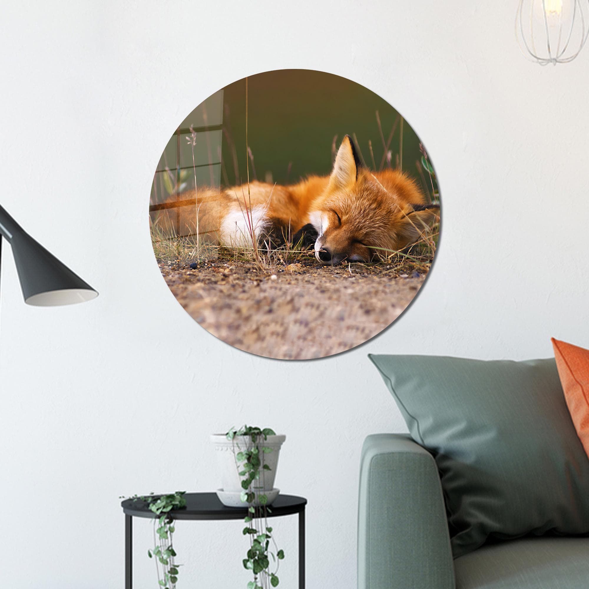 Cute Fox Glass Wall, Animal Wall Art, Sleeping Fox Glass Printing, Personalized Gift, Fox Art Decor, Kitchen Decor, Kids Room Wall Decor,