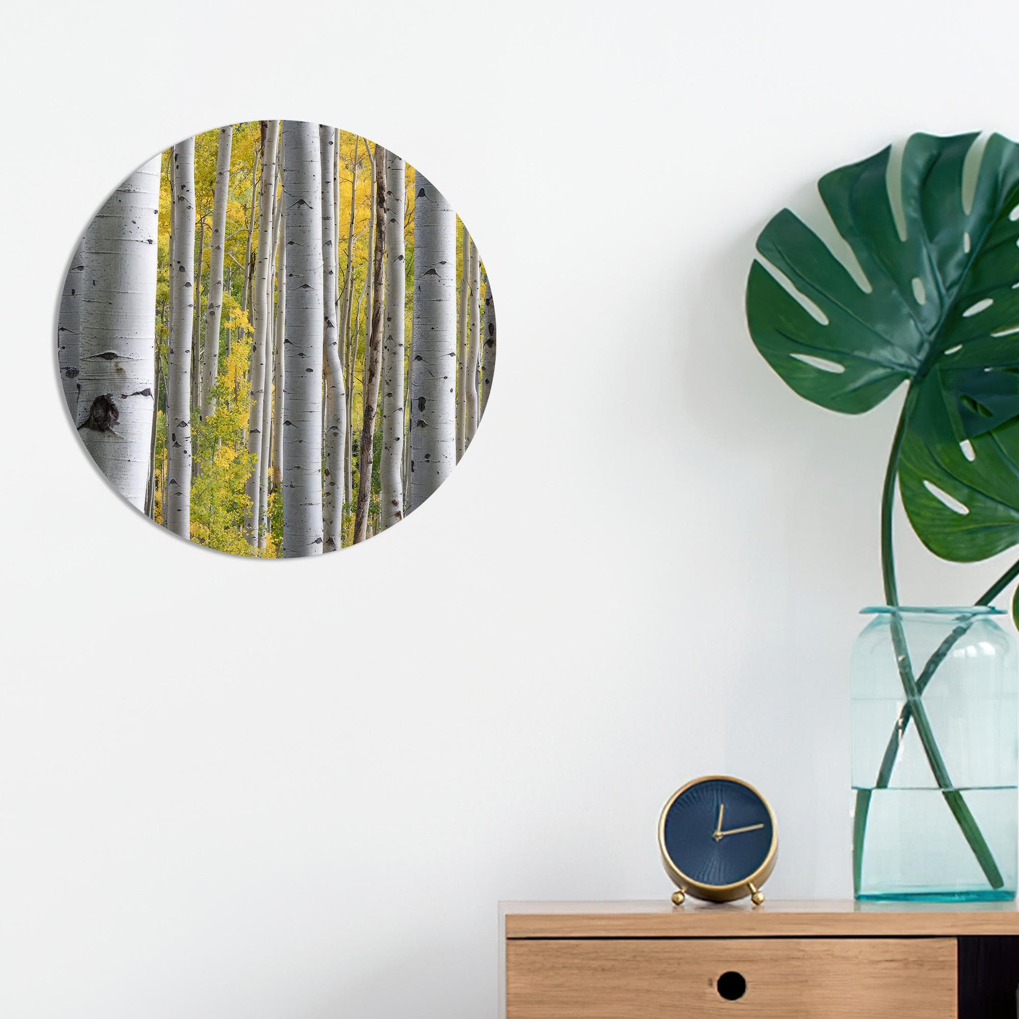 Birch Tree Forest Canvas Art: Minimalist Landscape Wall Decor - image 5