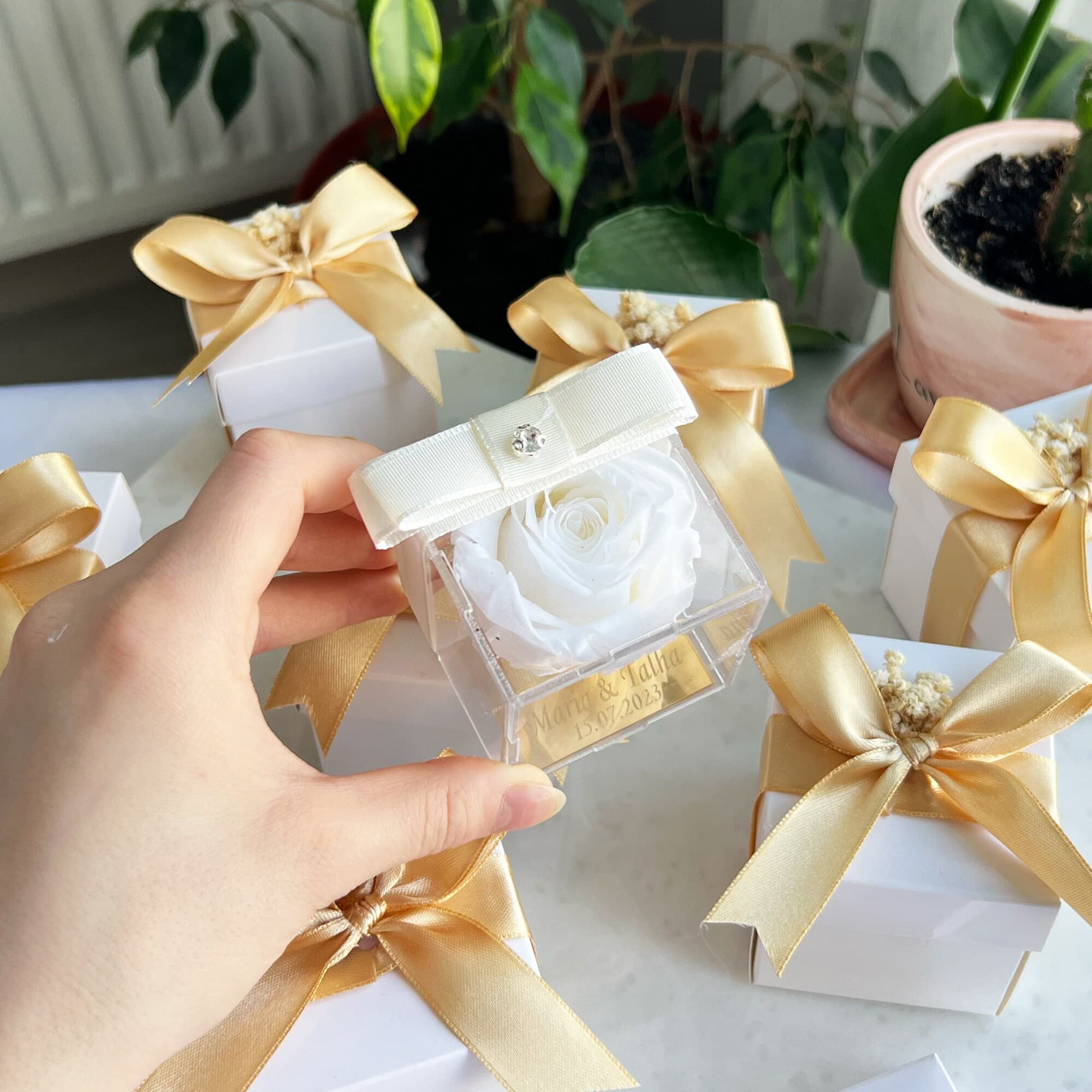 Personalized Preserved Rose, Clear Box, Wedding Party Favors - image 4