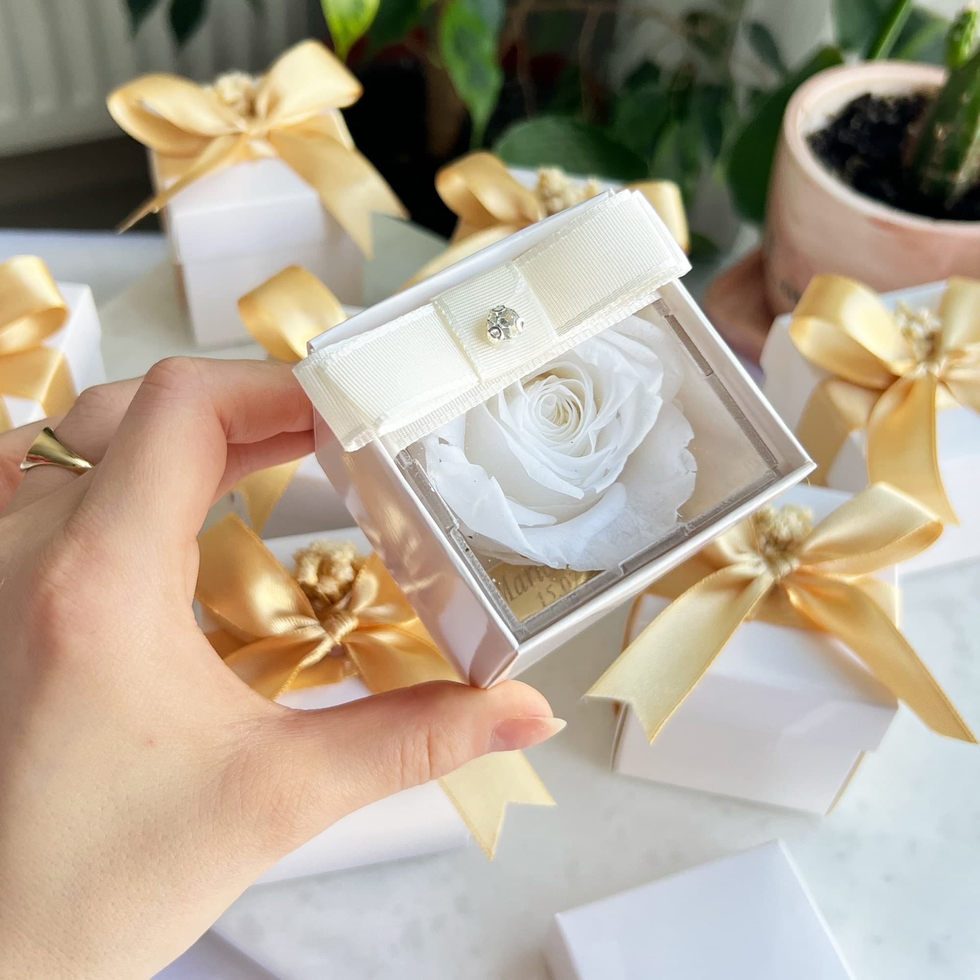 Personalized Preserved Rose, Clear Box, Wedding Party Favors - image 5