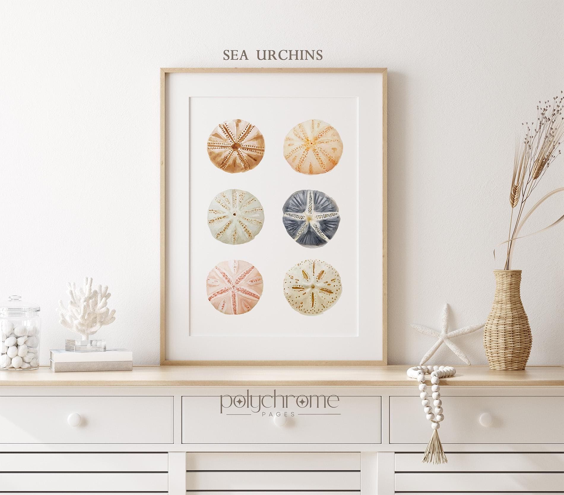 Seashells, Seaweed and Urchins in Beige, Brown, Pink and Yellow, Pastel Collection for Vacation Home, Coastal Laundry Room Art | Paper Print - image 5