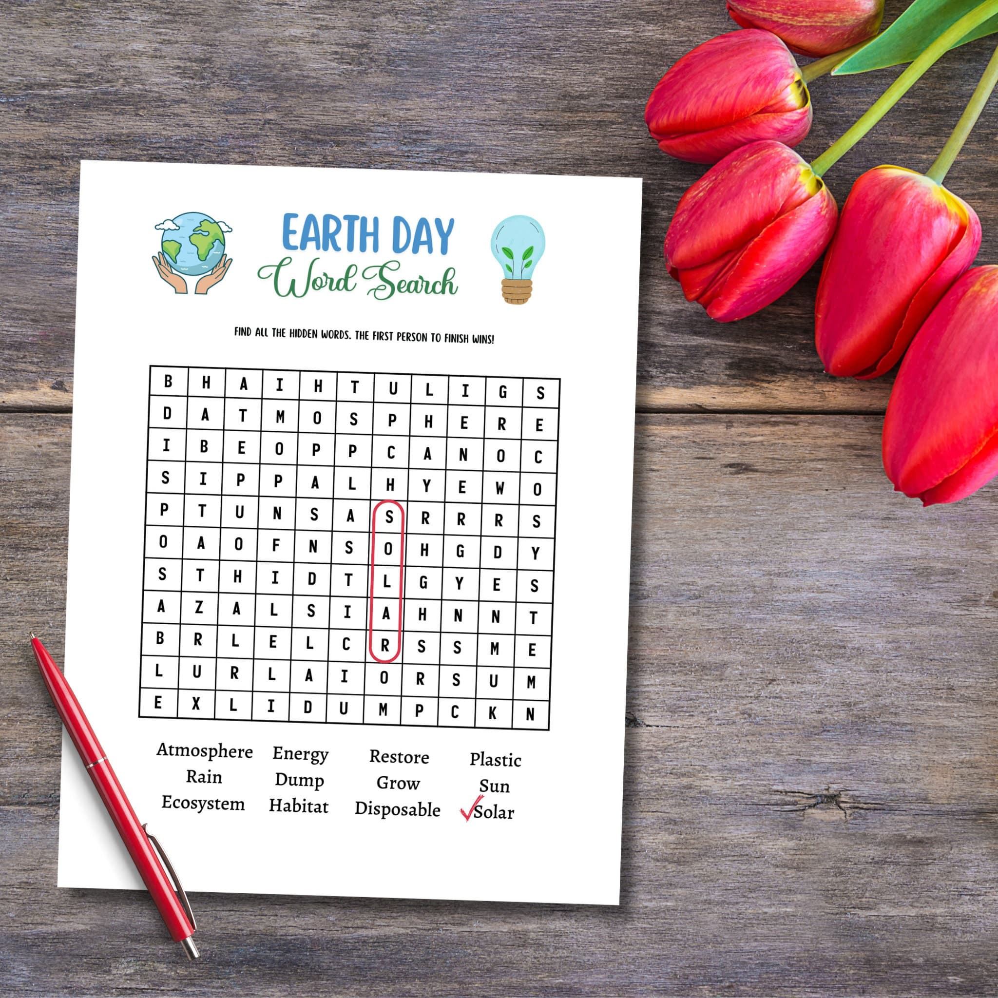 Earth Day Games Printable, Environmental Activity Word Search & Word Scramble, Party Game for Kids And Adults, Family Game, Classroom Game - image 4