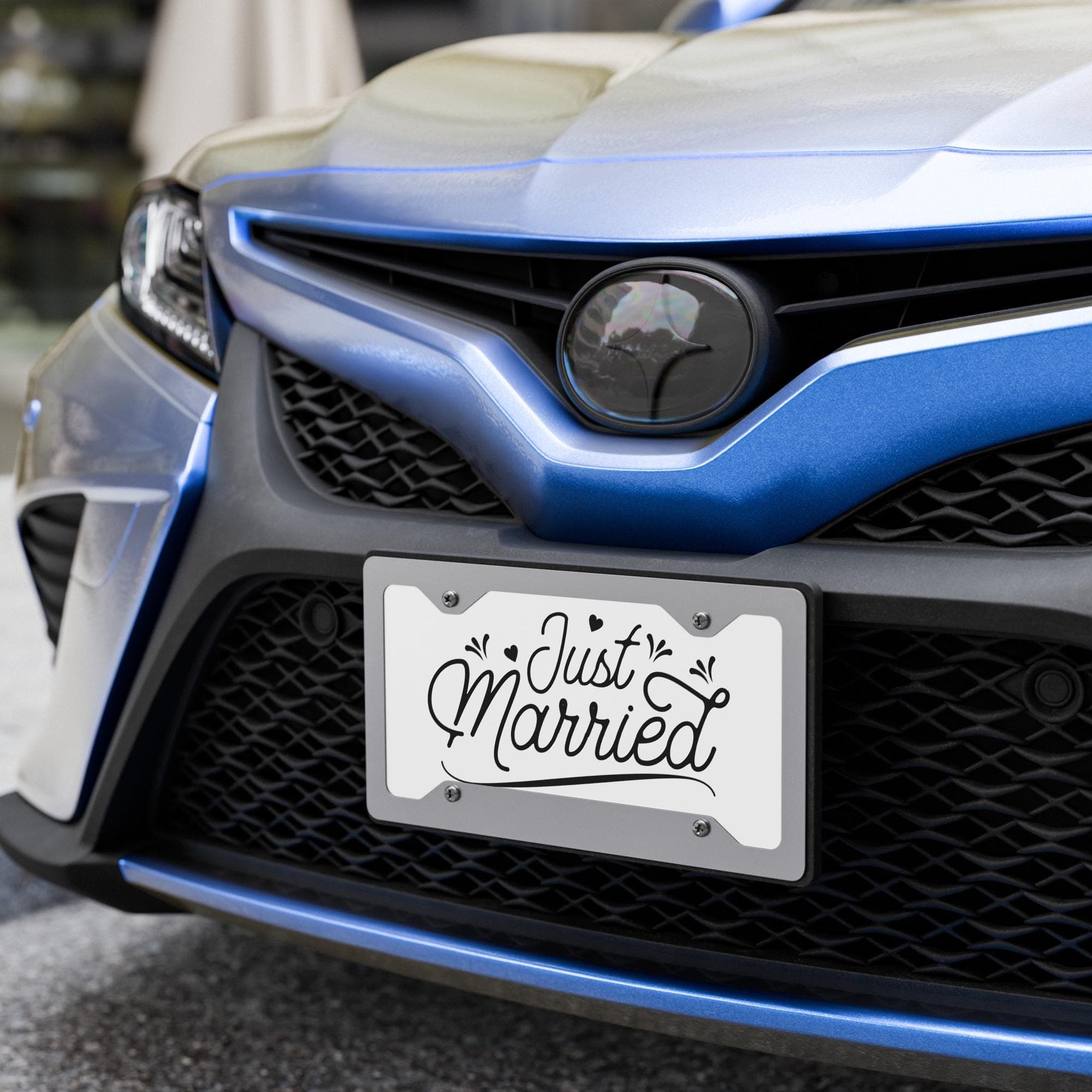 Vanity License Plate Sign – Personalised & Fun