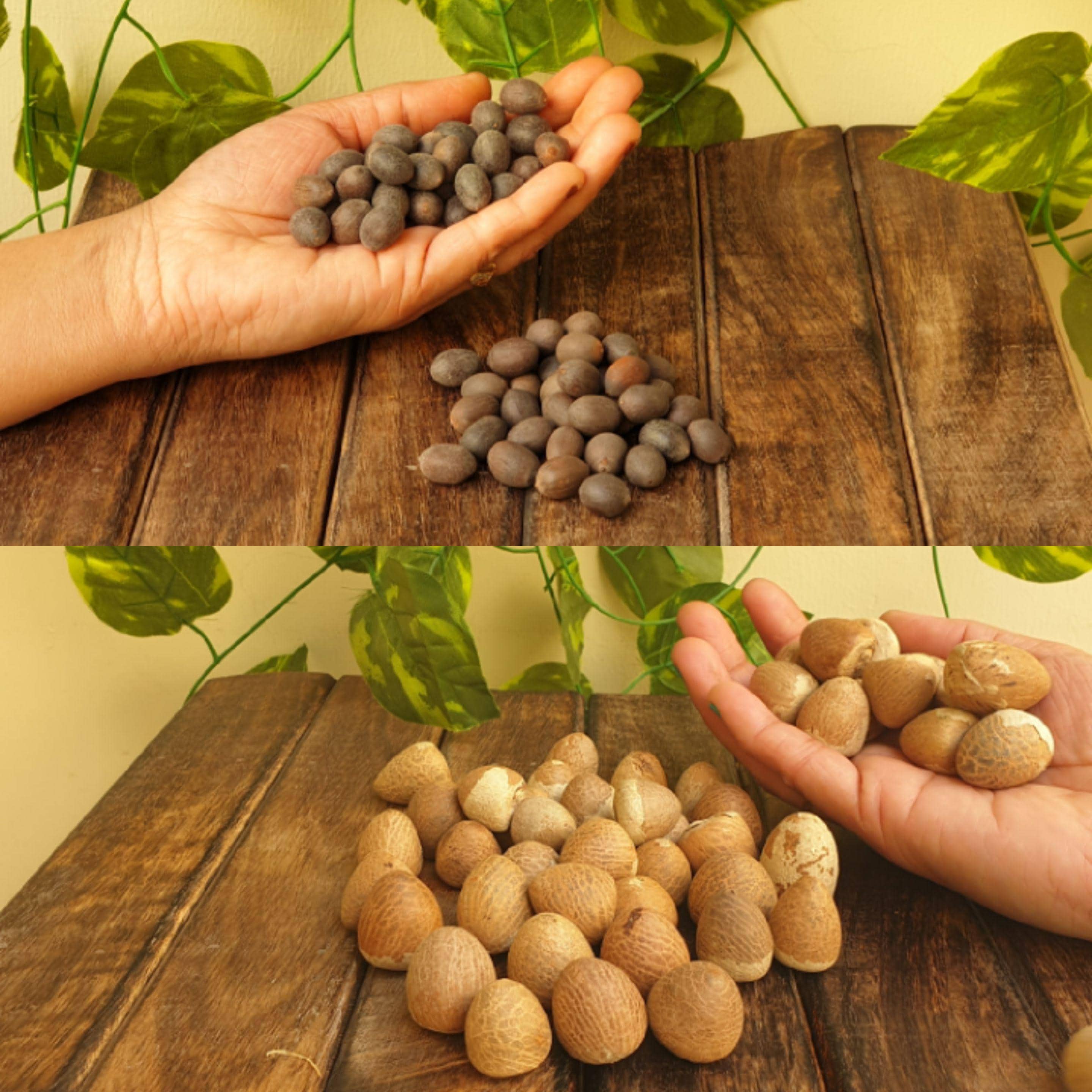 Lotus Seeds & Betel Nuts: Dried Areca Nuts for Pooja Havan