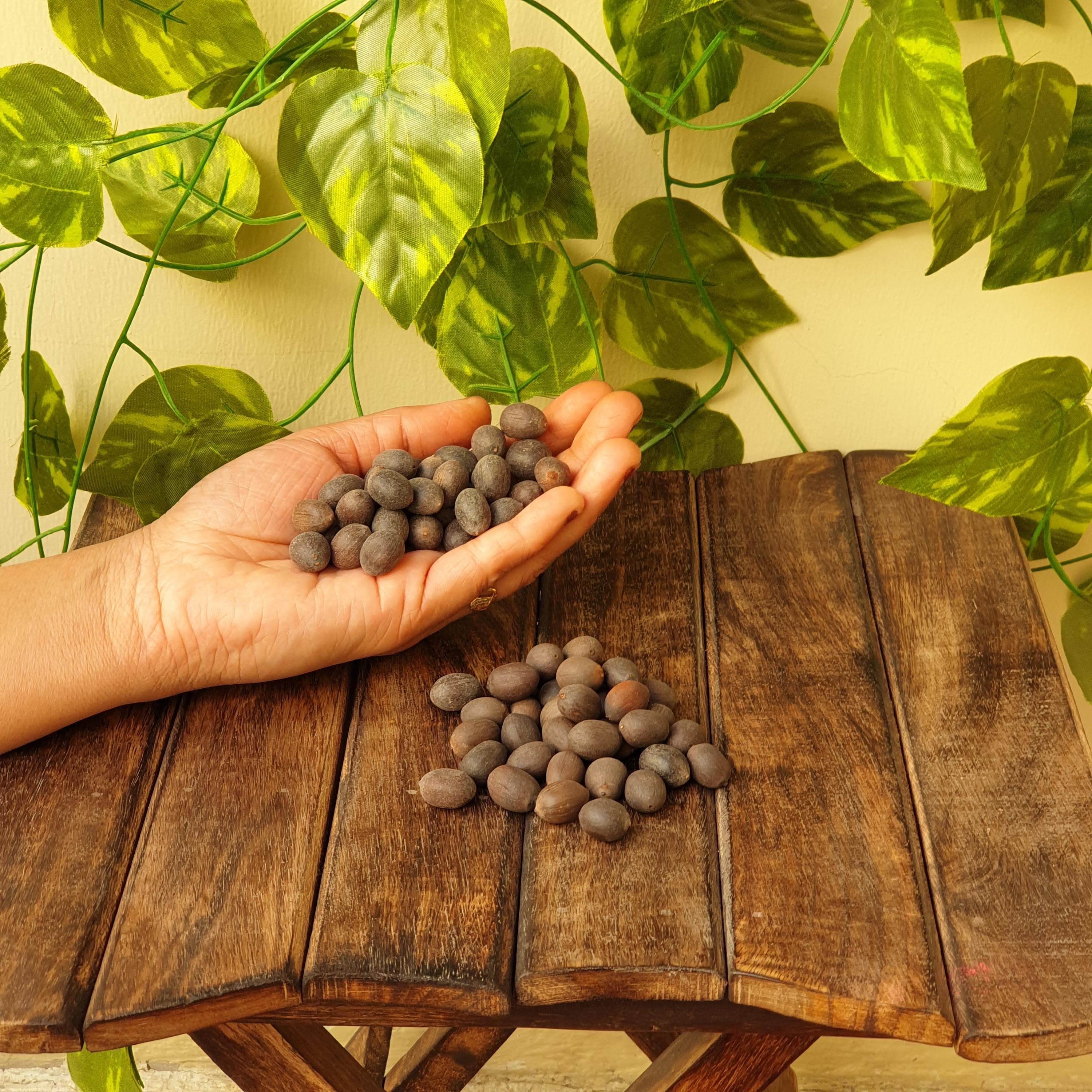 lotus seeds,
kamal gutta gatta,
nelumbo nucifera,
pooja supari,
betel nuts,
dried areca nuts,
pavitra pooja nuts,
religious rituals,
hindu pooja items,
pooja kit for home,
havan pooja,
worship and prayer,
laddu gopal,