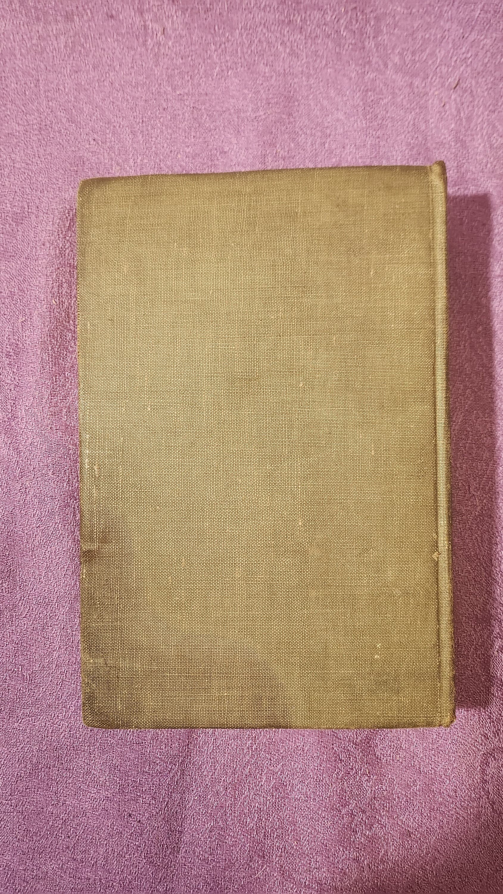 The Branding Iron, by Katharine Newlin Burt, First Edition, Hardcover Book, 1919 - image 4