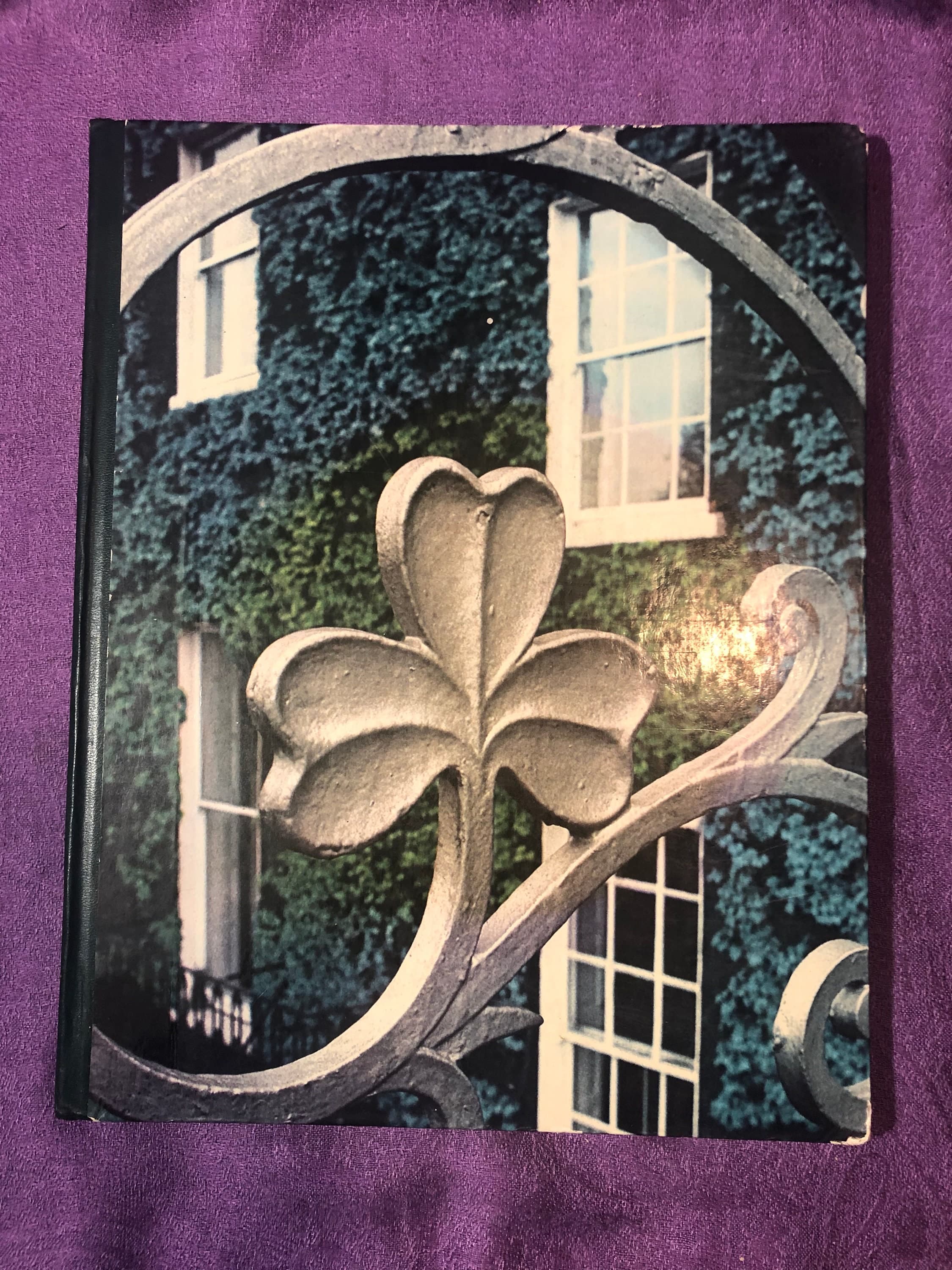 Dublin, The Great Cities, Time Life Books, Amsterdam, by Brendan Lehane, Hardcover Book, 1978