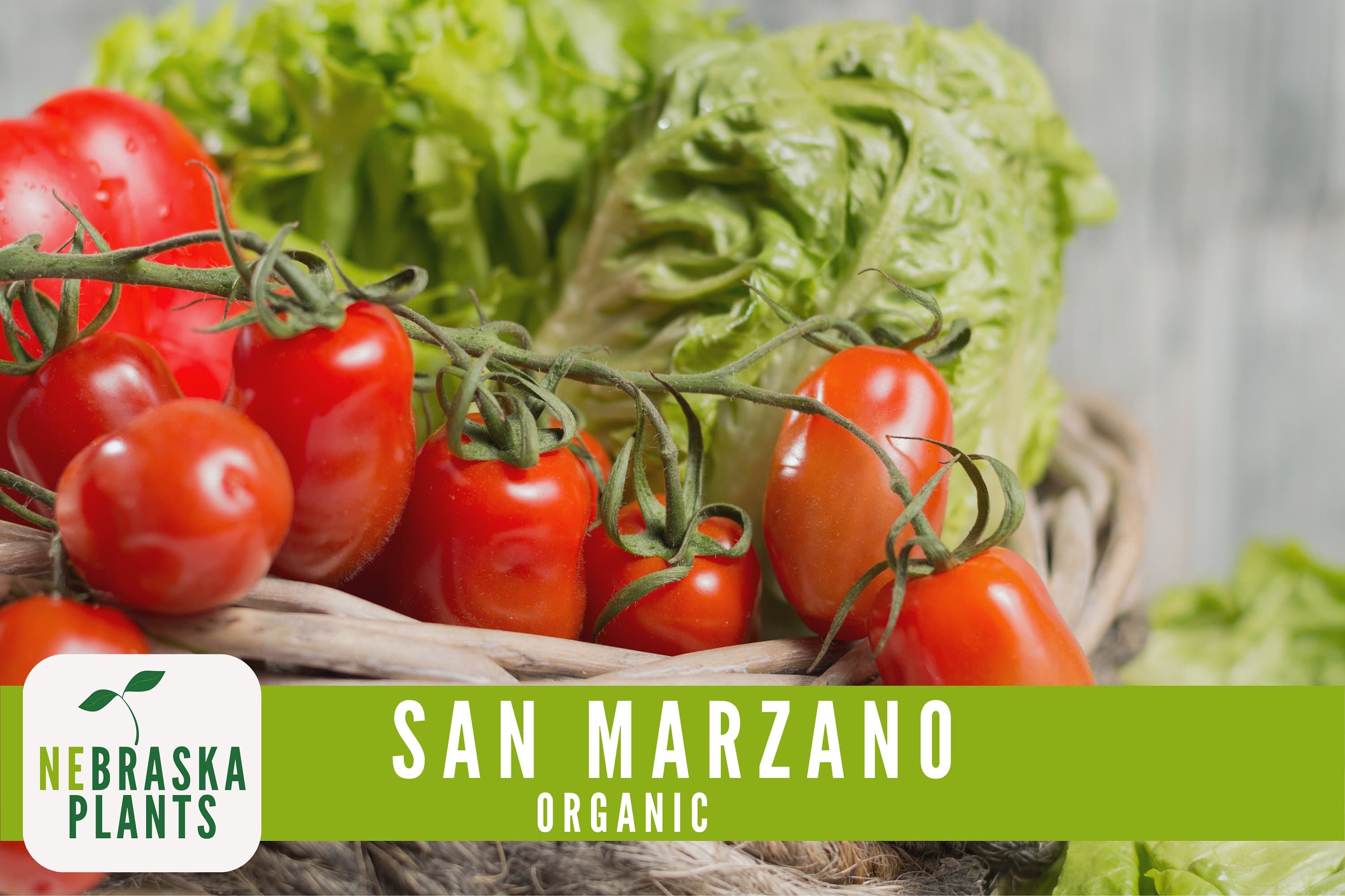 San Marzano Organic Tomato Seeds - Heirloom, Non-GMO - Grow the Authentic Italian Flavor! - image 4