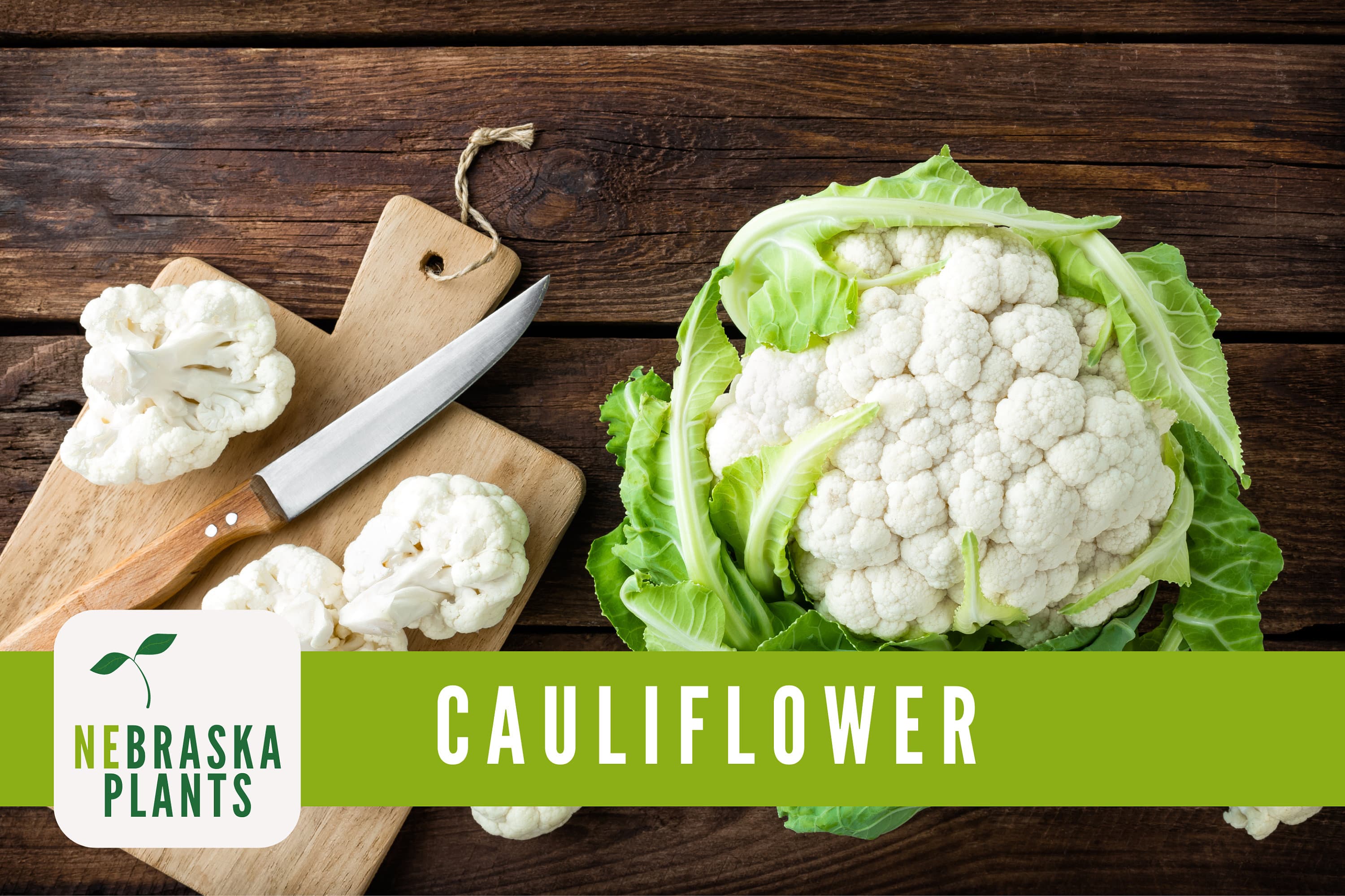 Cauliflower Seeds - Snowball Heirloom Cauliflower Seeds - image 5
