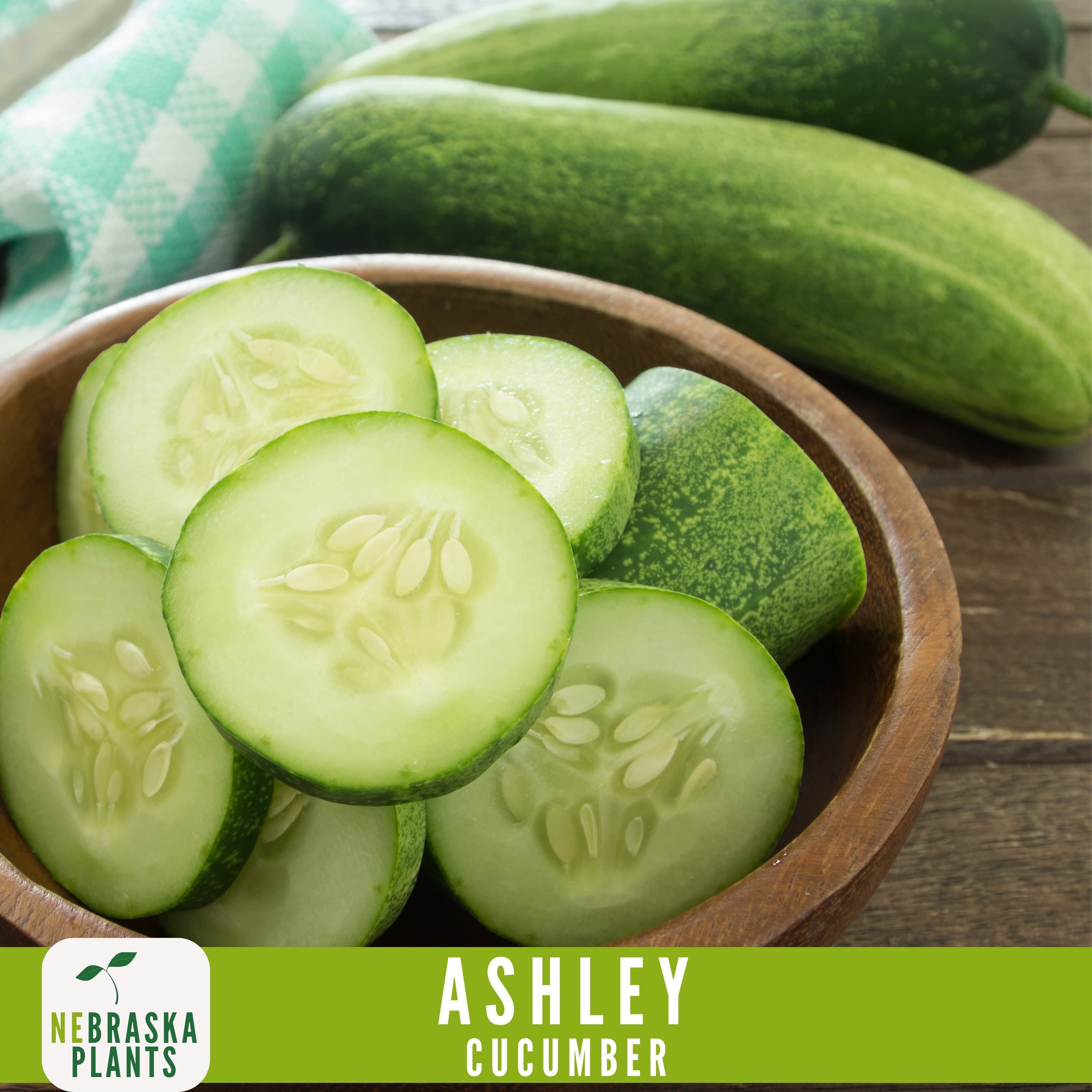 Ashley Cucumber Seeds - Heirloom, Non-GMO - Grow Crisp Fresh Cucumbers at Home! - image 5