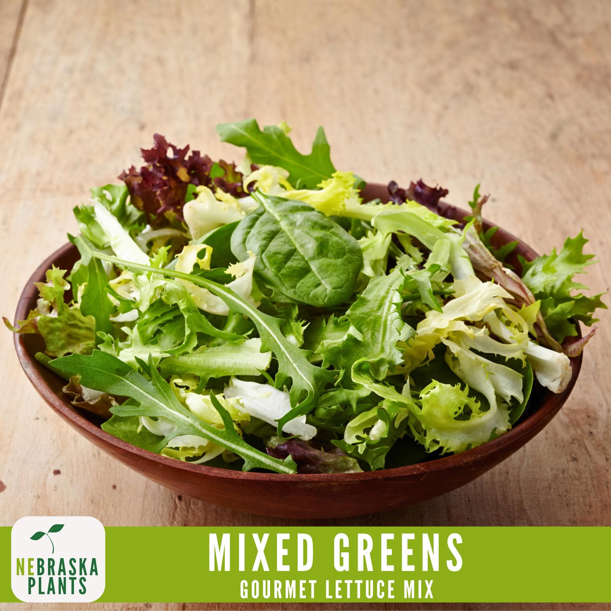 Freshly harvested organic lettuce mix, including Romaine Cimarron, Butterhead Bibb, and more
