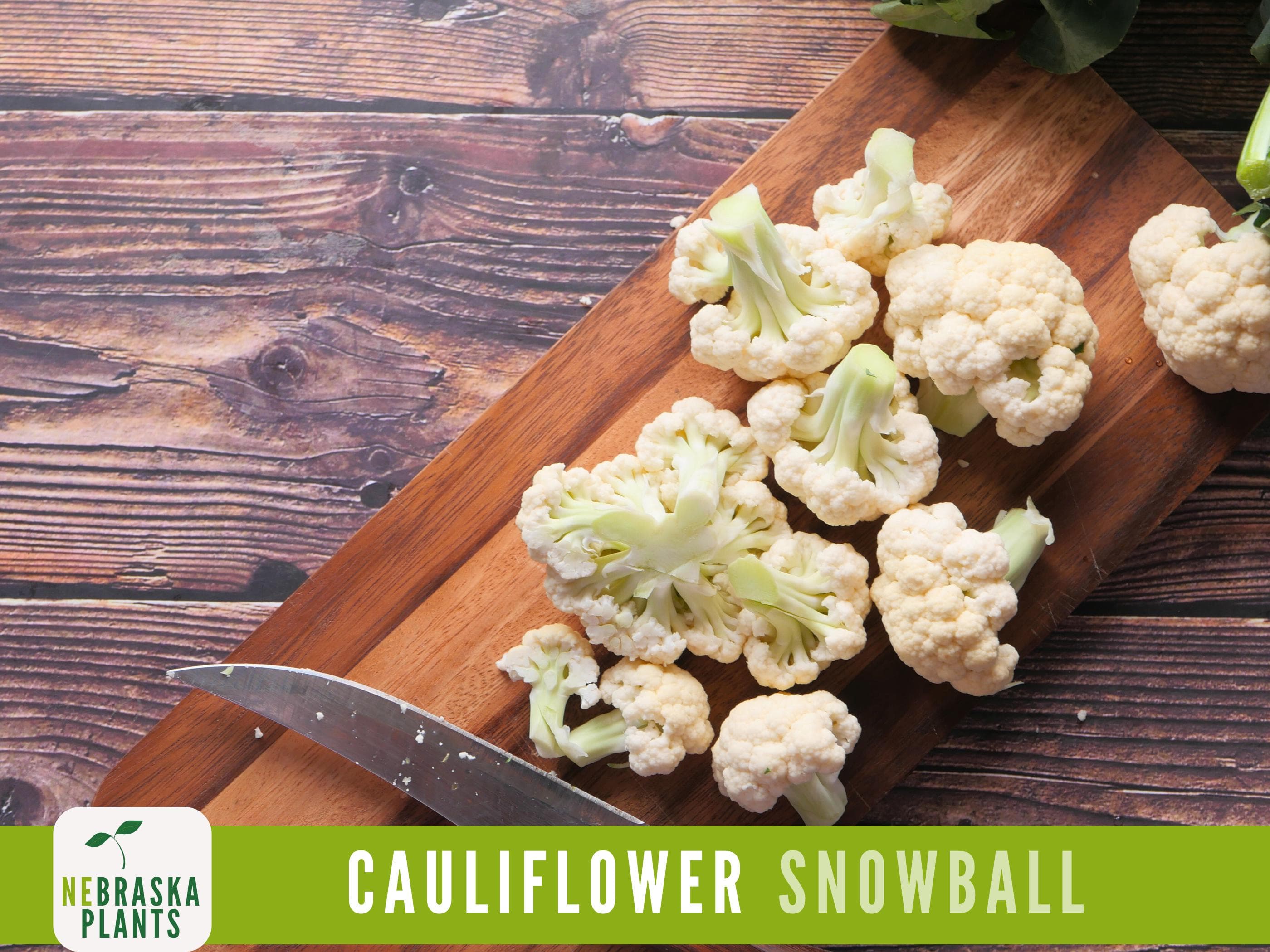 Cauliflower Seeds - Snowball Heirloom Cauliflower Seeds - image 4