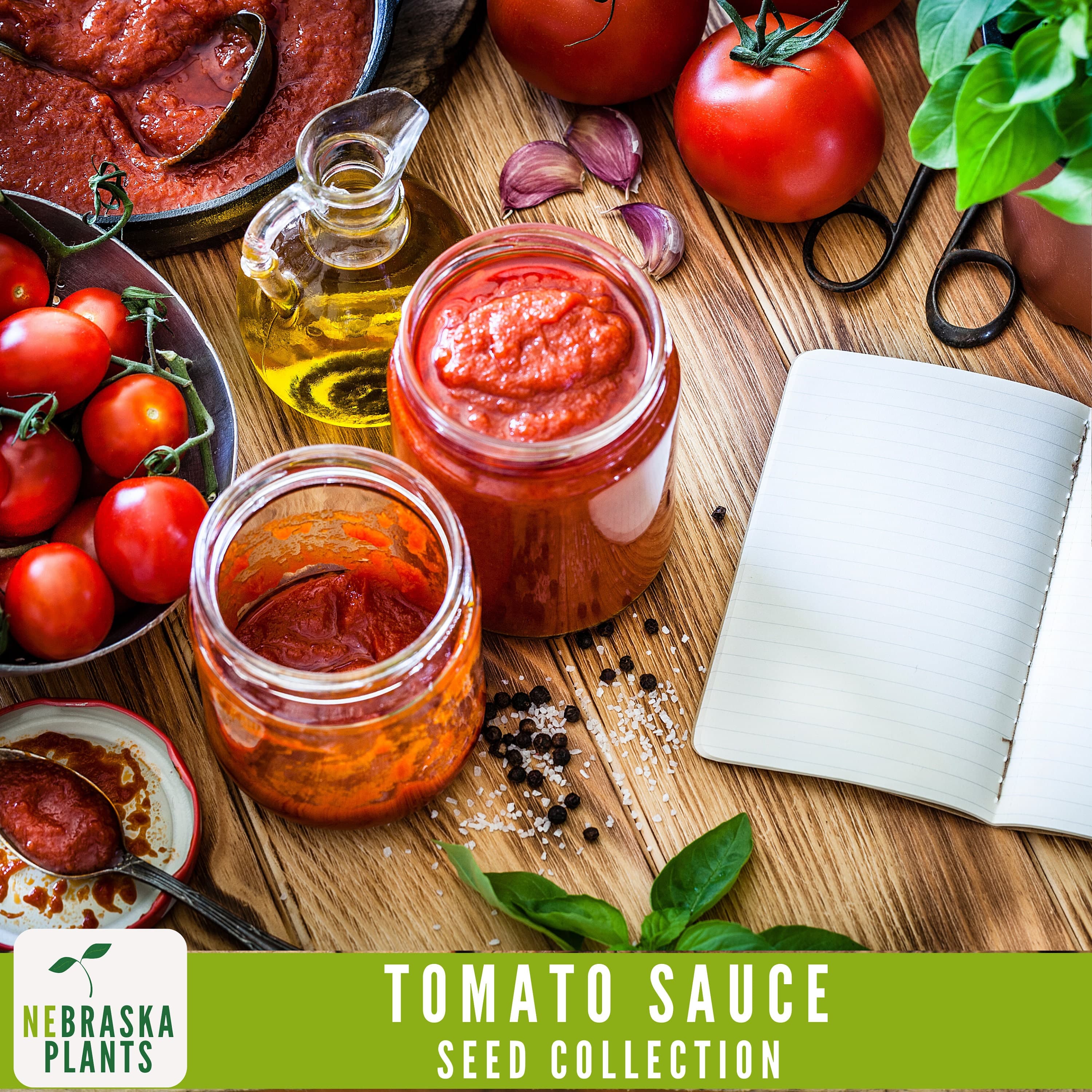 Pizza and Pasta Tomato Sauce Mix - Heirloom Seed Collection - Roma Tomato Seeds - Sweet Onion Seeds - Basil Seeds - Oregano Seeds - image 4