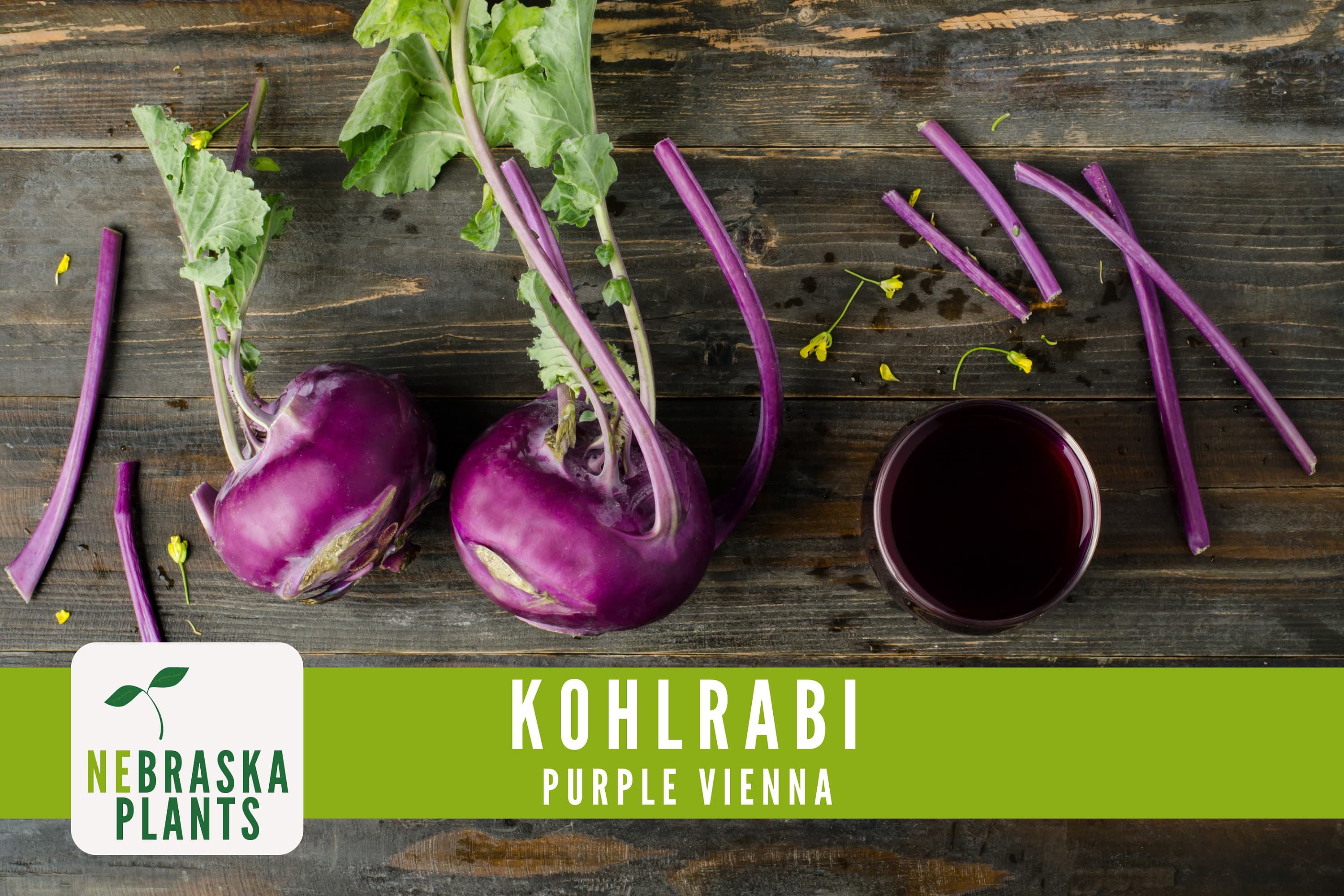 Organic Kohlrabi Seeds - Purple Vienna Kohlrabi Heirloom Organic Seeds - image 3