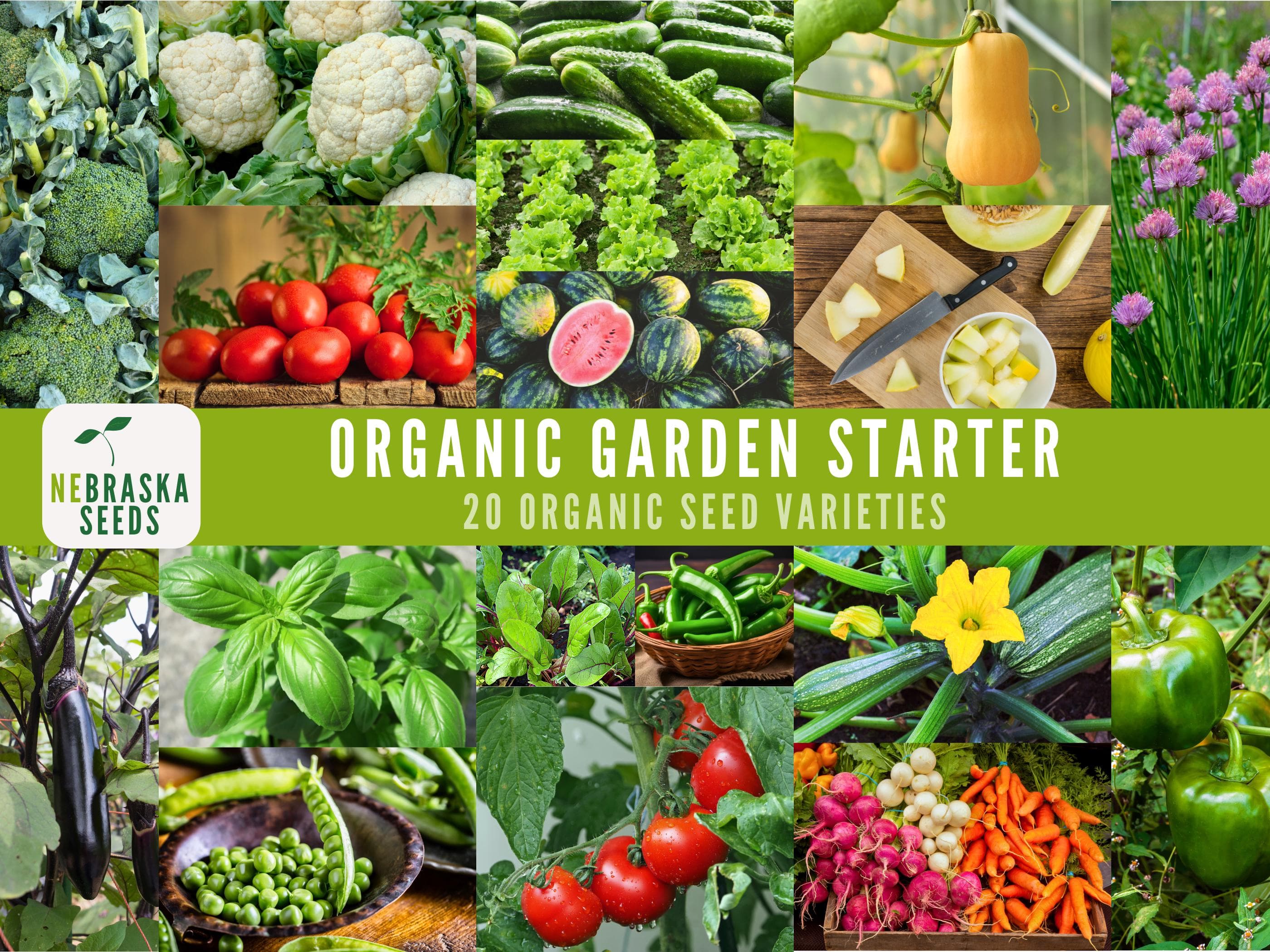 Organic Garden Starter Seeds - 20 Heirloom Vegetable, Fruit and Herb Seeds for home Organic Gardens!